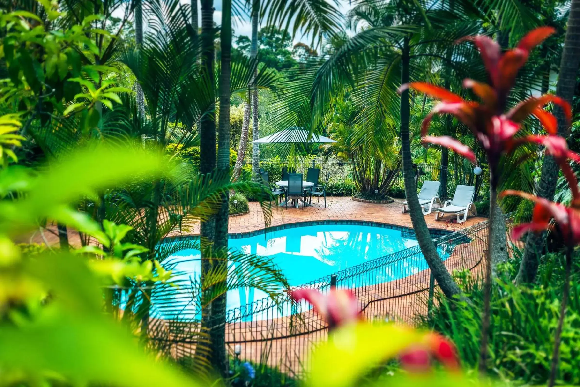 Day, Pool View in Bella Vista Bellingen