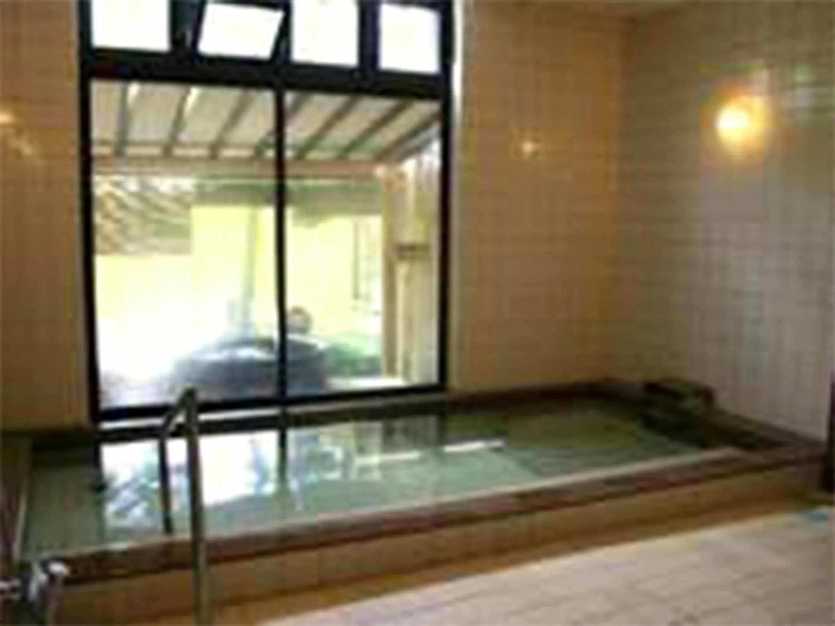 Public Bath, Swimming Pool in Oyado Hachibei