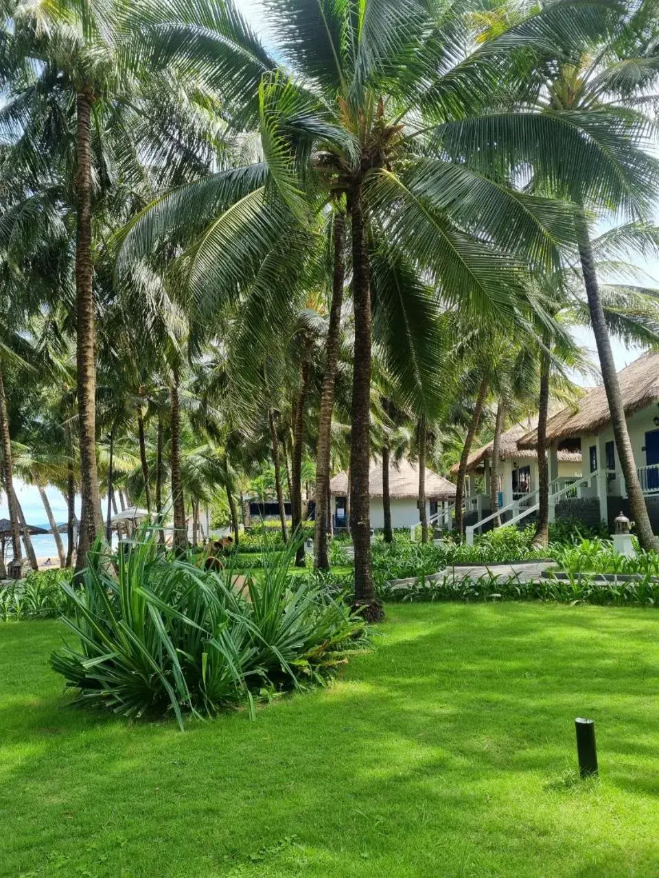 Garden in L'Azure Resort and Spa