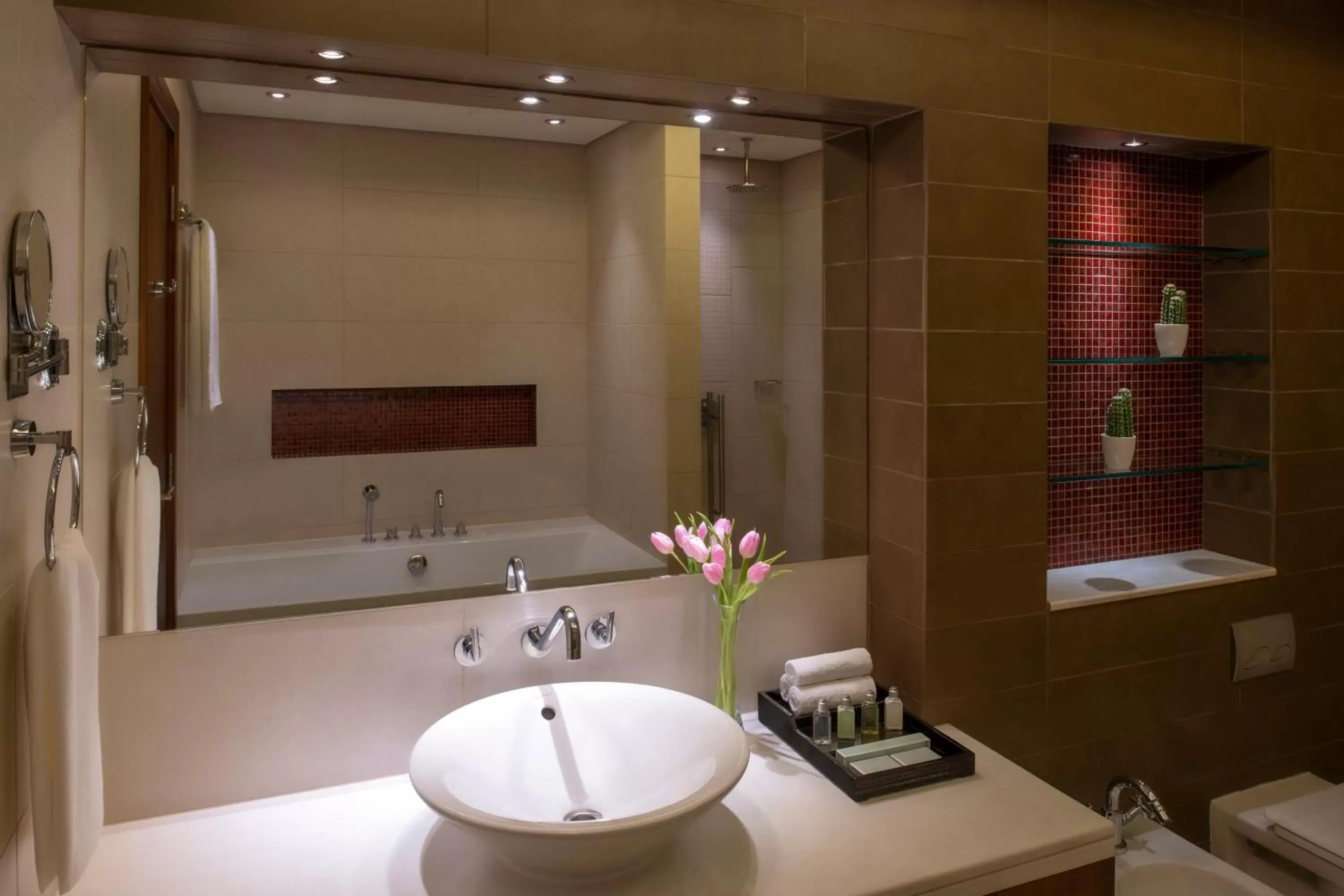 Shower, Bathroom in Fraser Suites Doha
