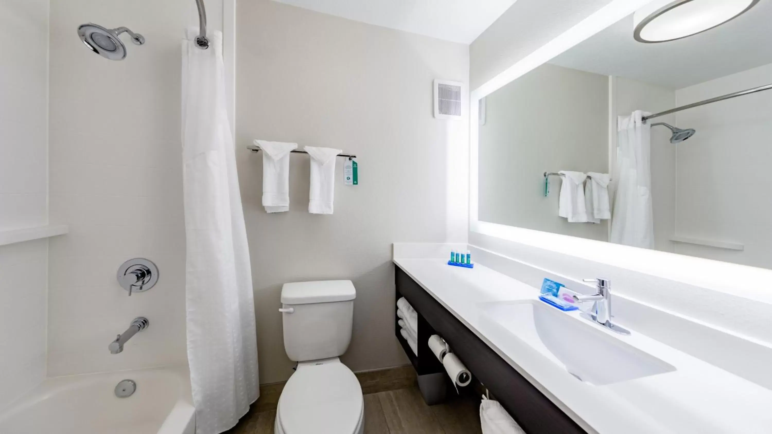 Photo of the whole room, Bathroom in Holiday Inn Express & Suites Hood River, an IHG Hotel