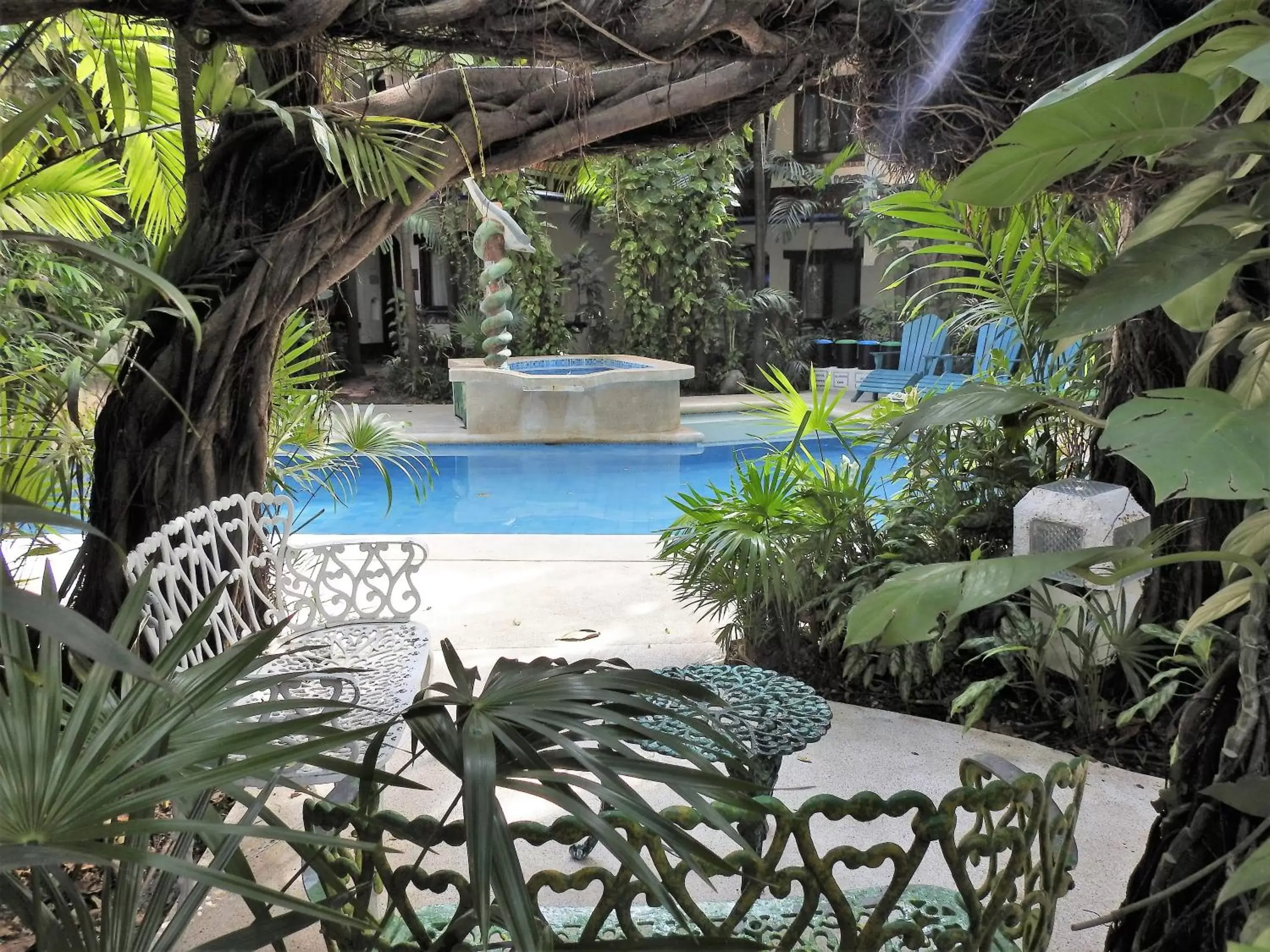 Day, Swimming Pool in Eco-hotel El Rey del Caribe