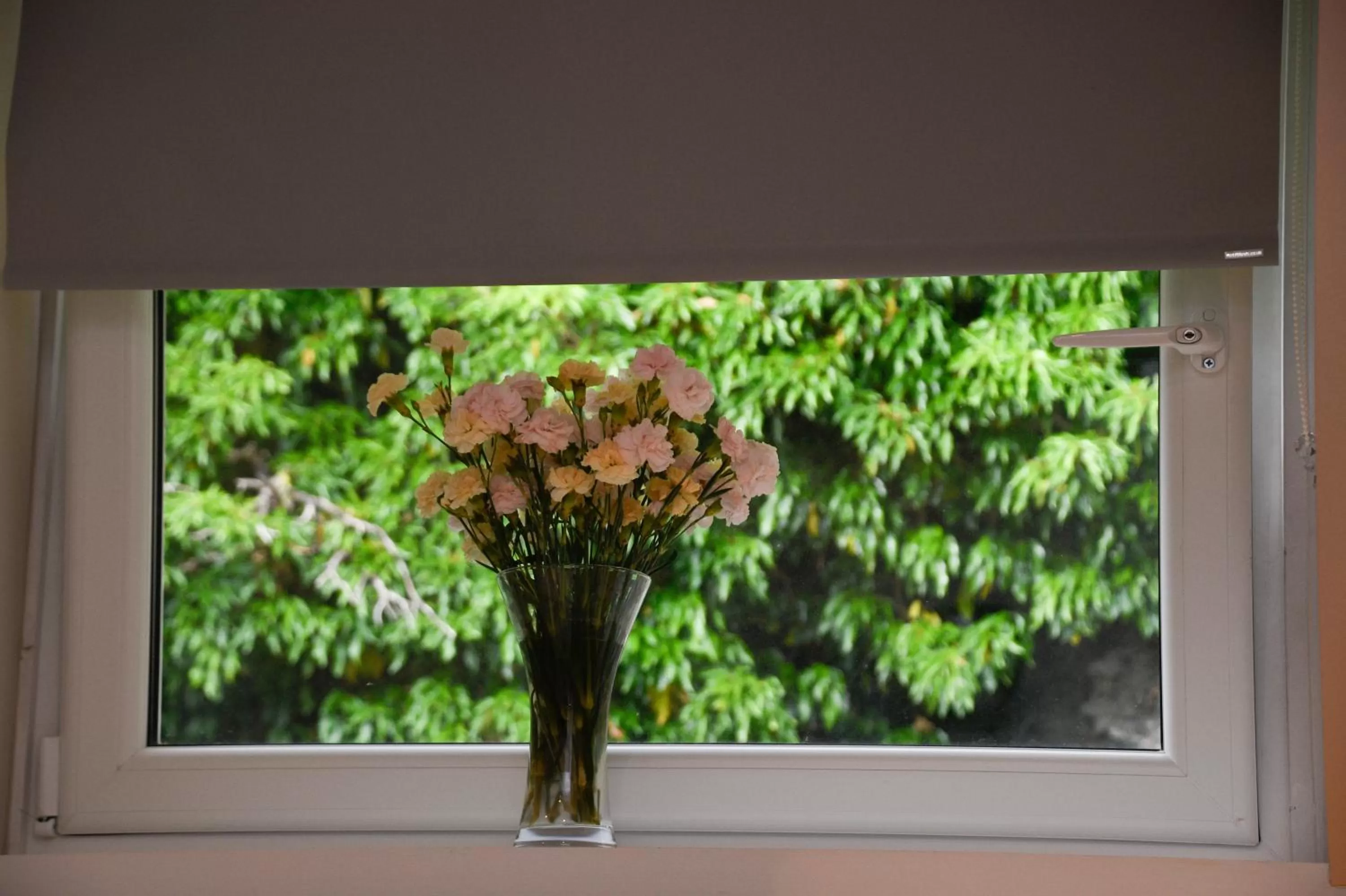 Garden view in Fairhaven, Oban Town Centre
