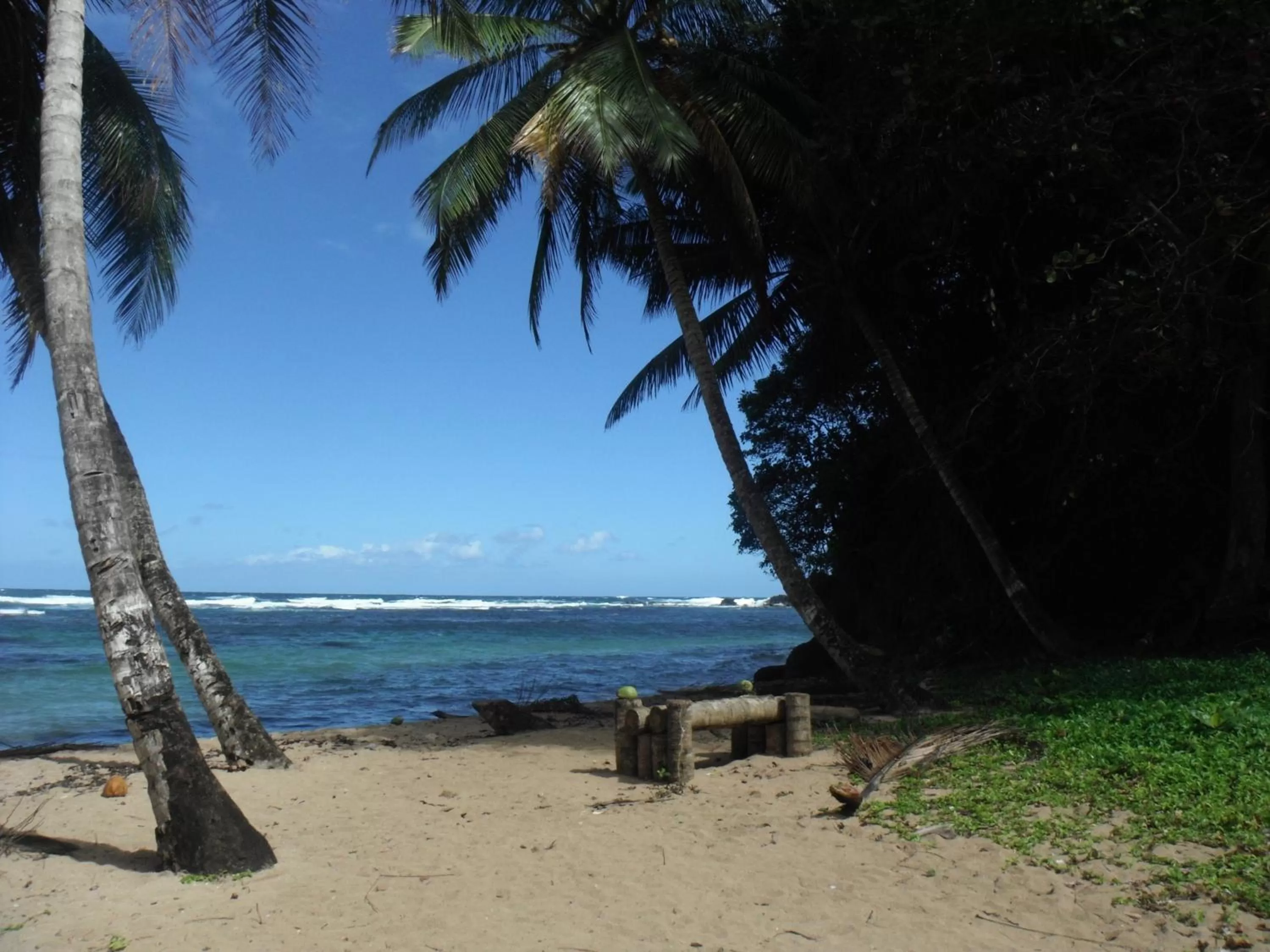 Beach in Classique International in Dominica