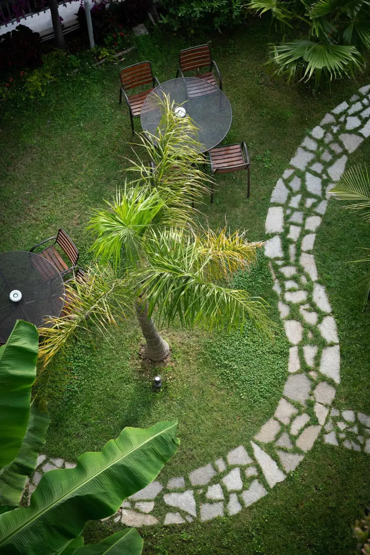 Garden in Hotel Corallo