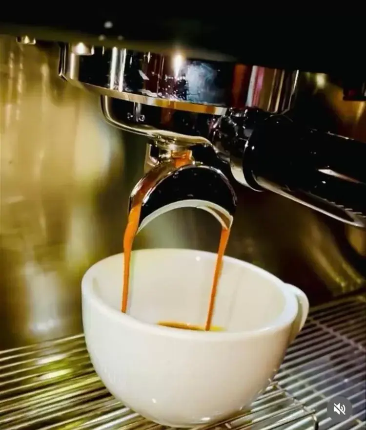 Lounge or bar in Park House Hotel Lounge or bar in Park House Hotel