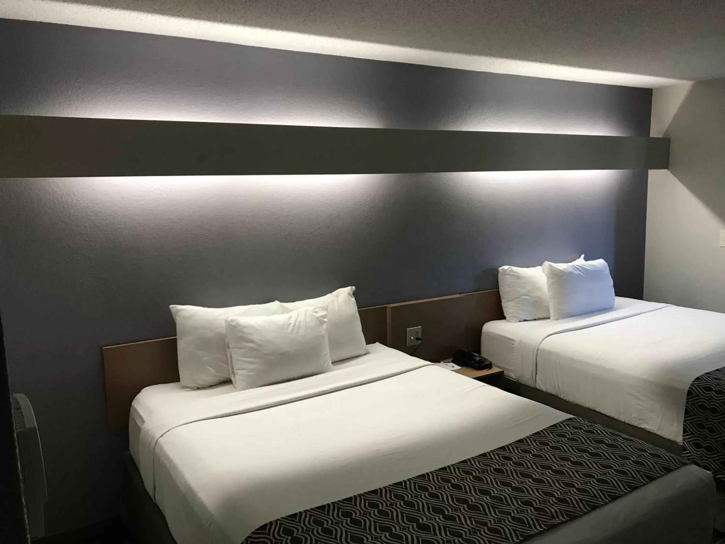 Facility for disabled guests, Bed in Microtel Inn Suite by Wyndham BWI Airport