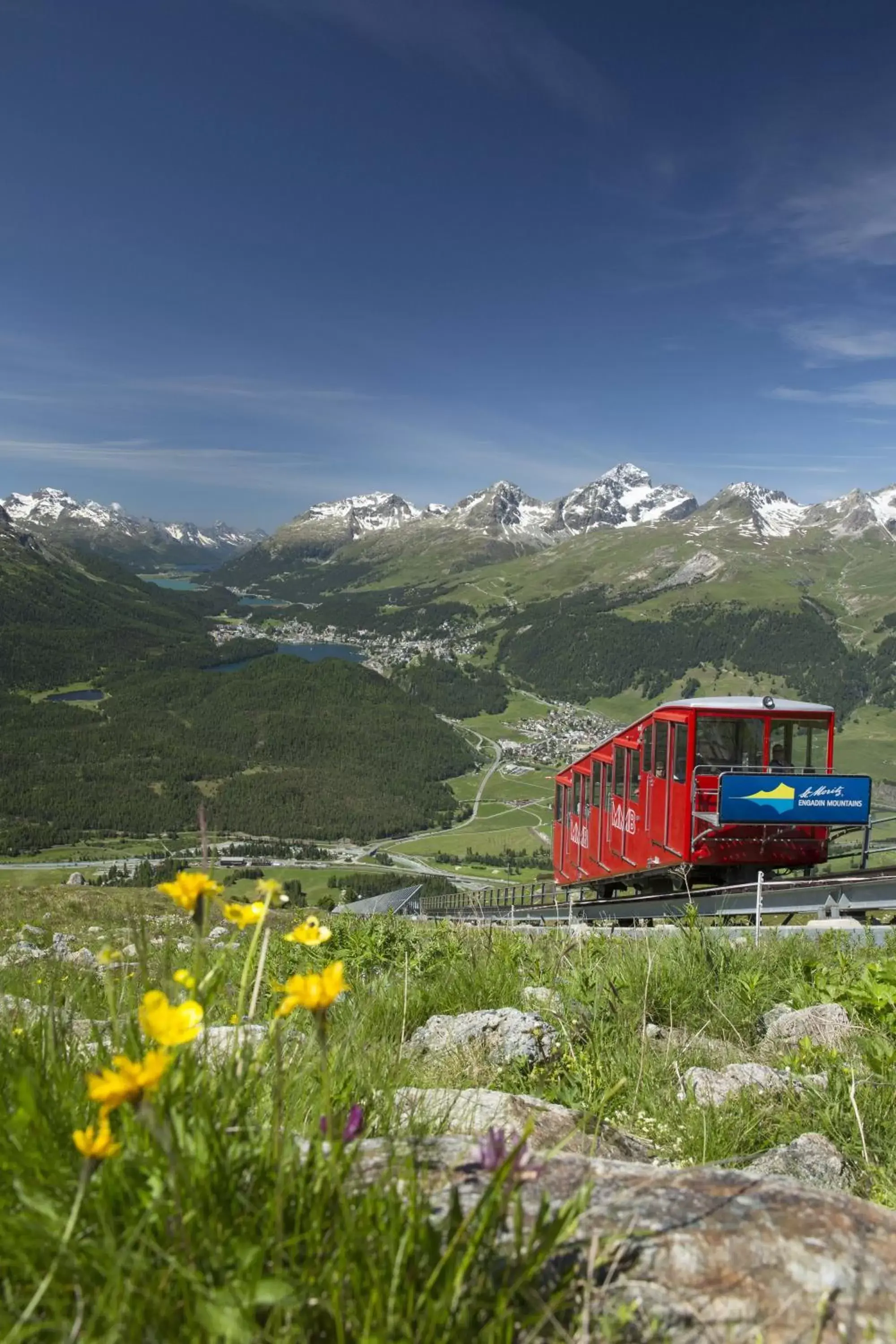 Natural landscape in Hotel Donatz