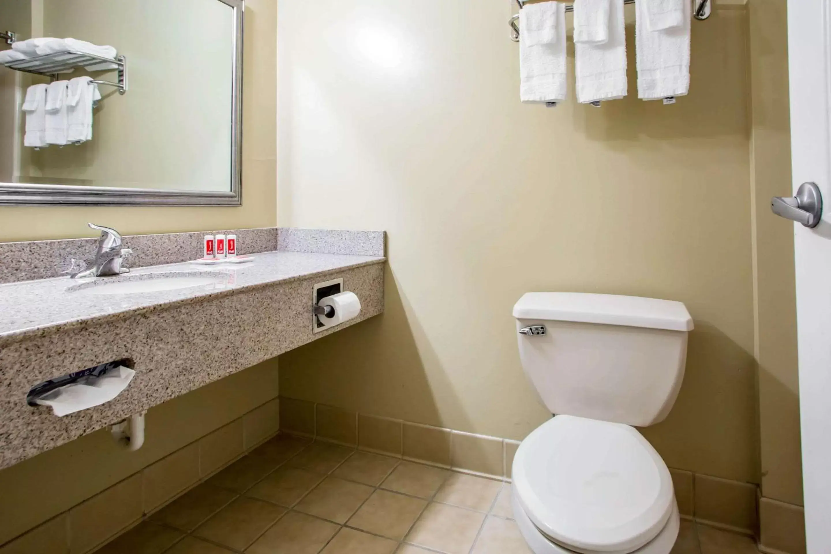 Bathroom in Econo Lodge Harrisburg - Hershey