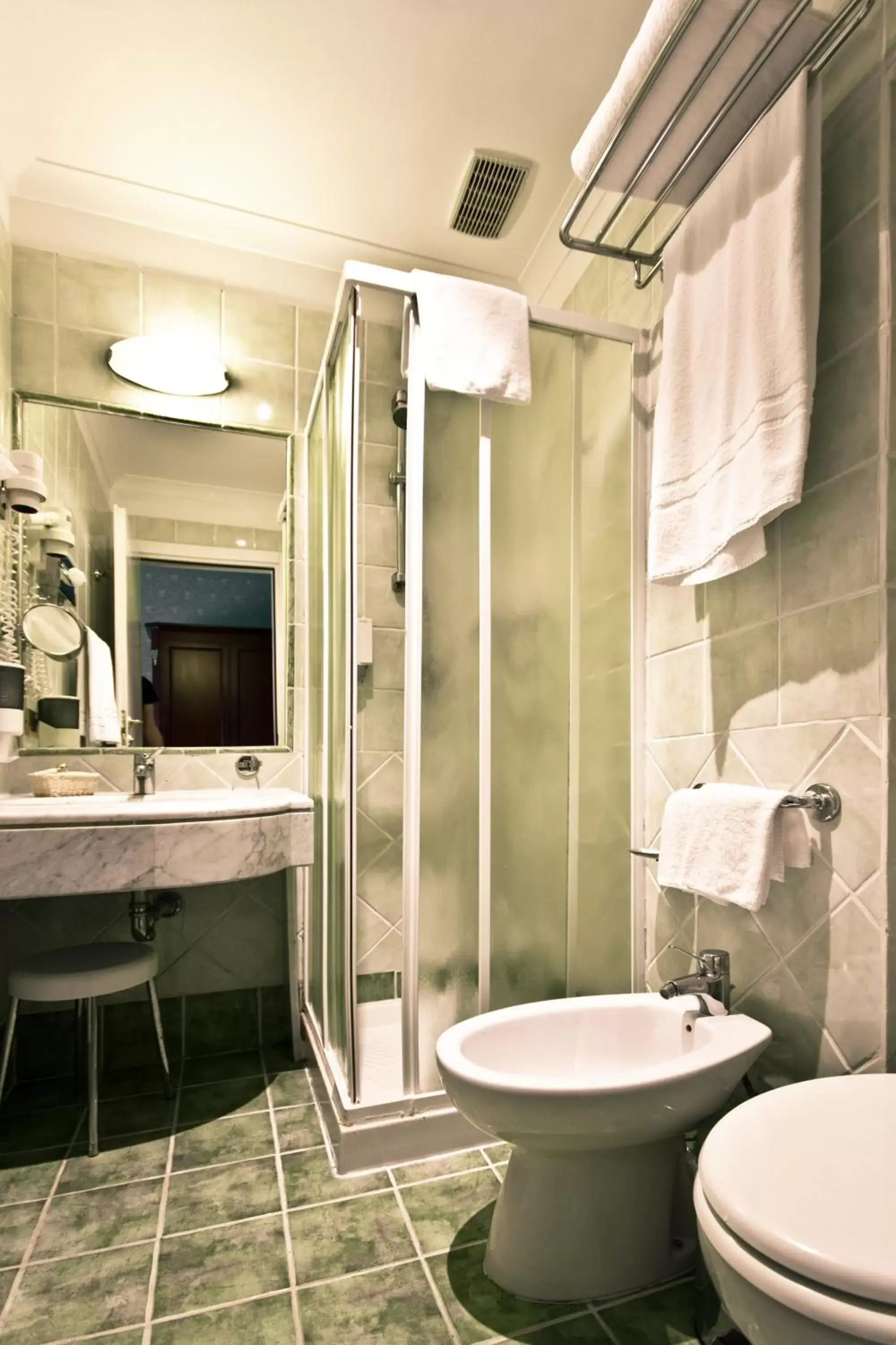 Shower, Bathroom in Gambrinus Hotel