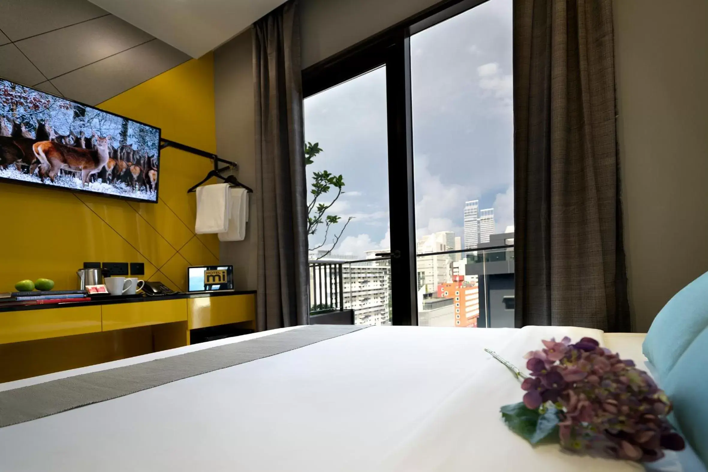 TV and multimedia in Hotel Mi Bencoolen