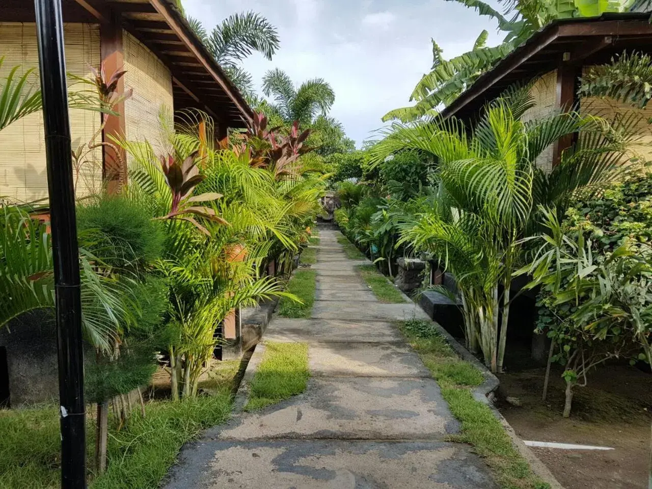 Garden in Colour Cottages