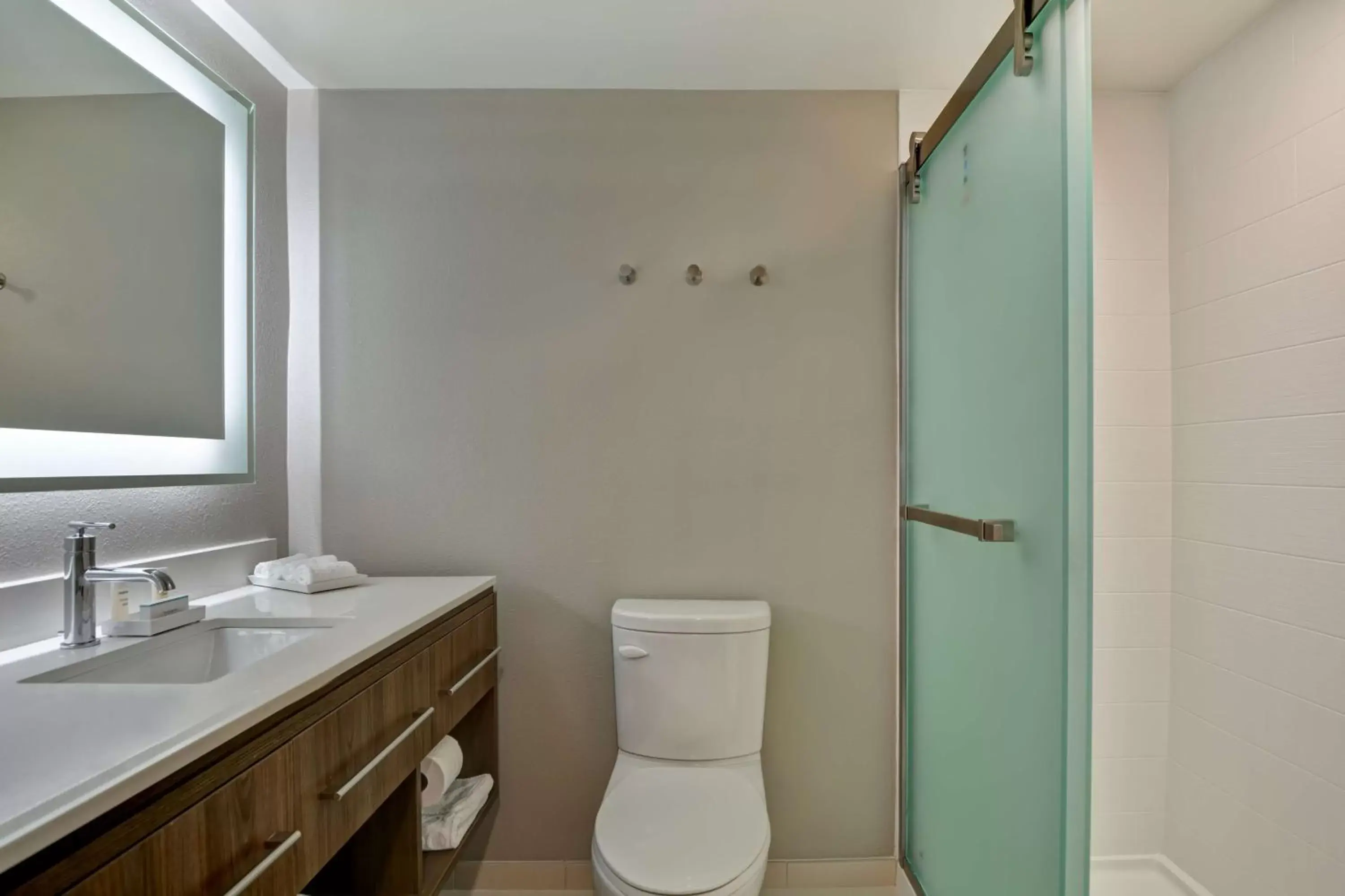 Bathroom in Home2 Suites Ormond Beach Oceanfront, FL