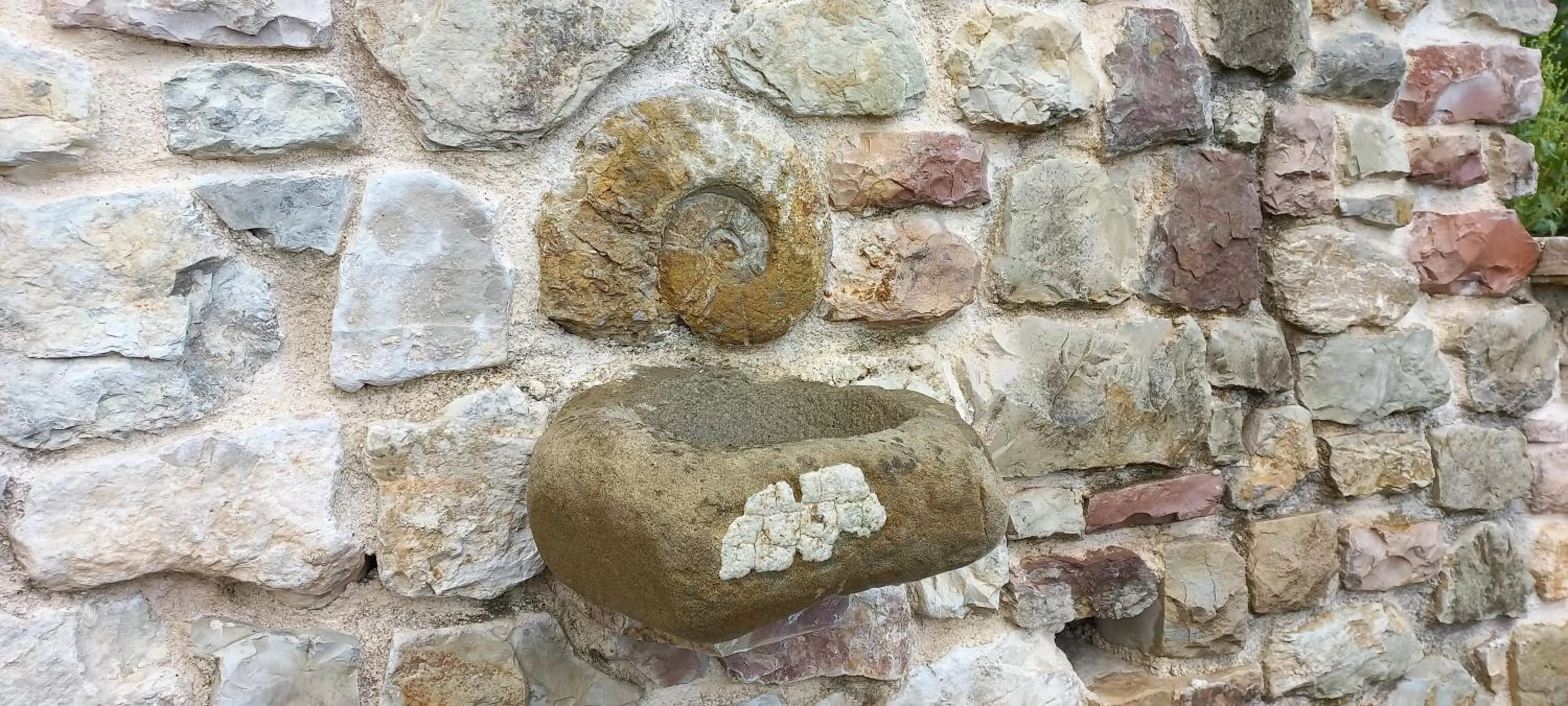 Domus Antiqua Bed & Breakfast