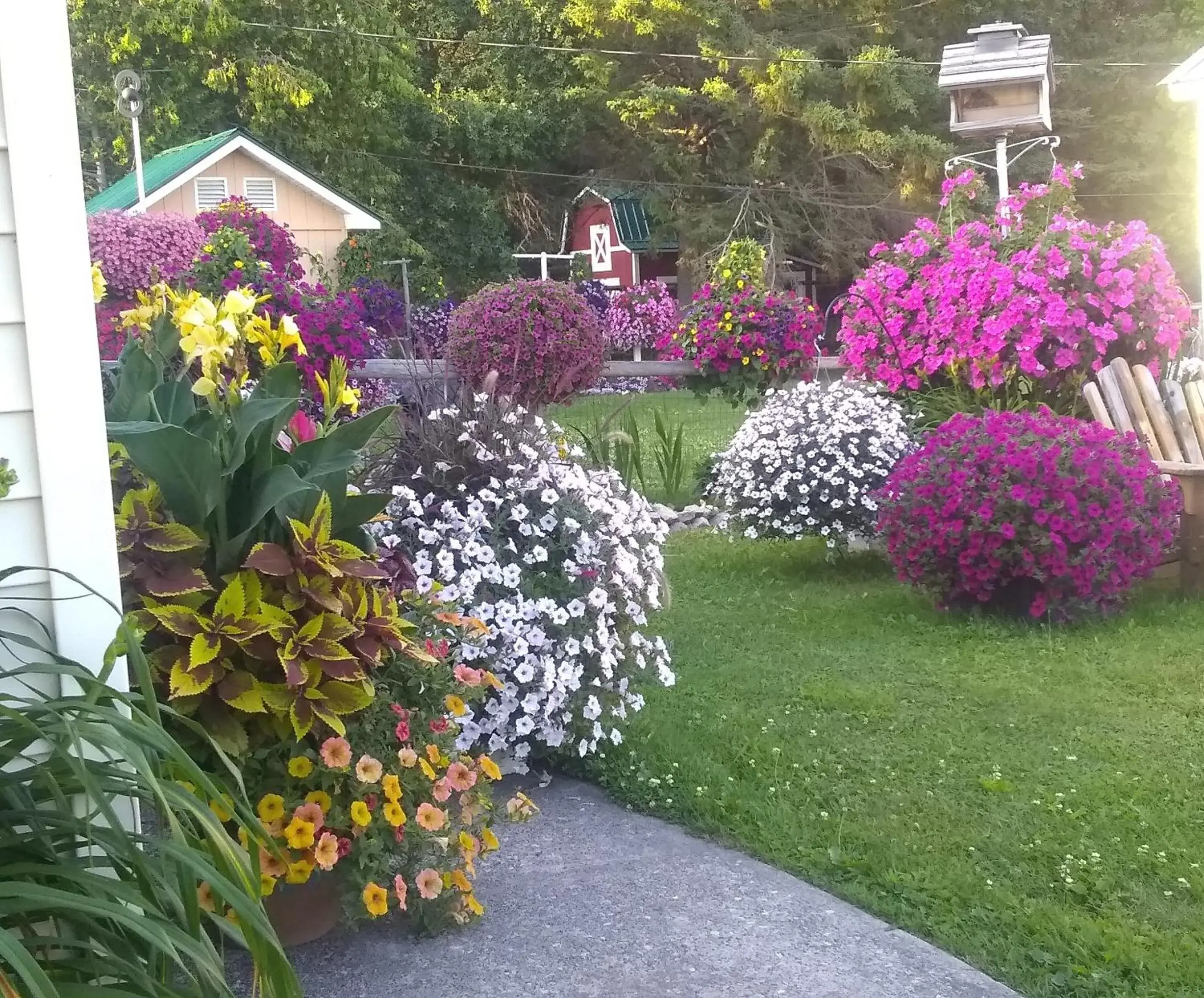 Garden in Sunset Motel of St. Ignace