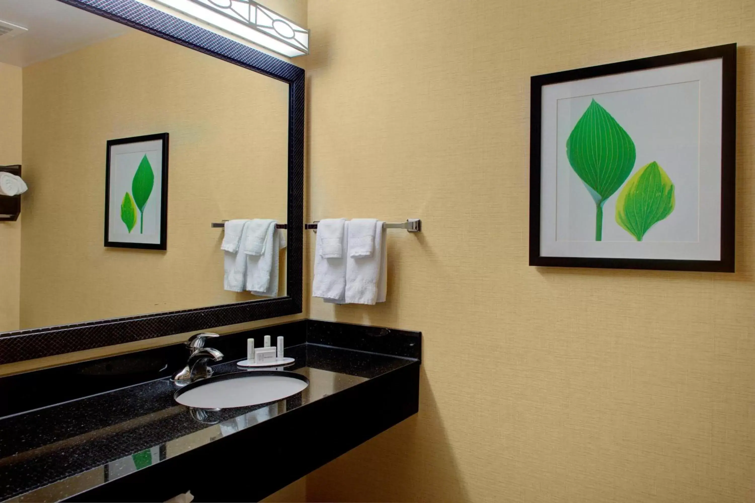 Bathroom in Fairfield Inn and Suites by Marriott Montgomery EastChase