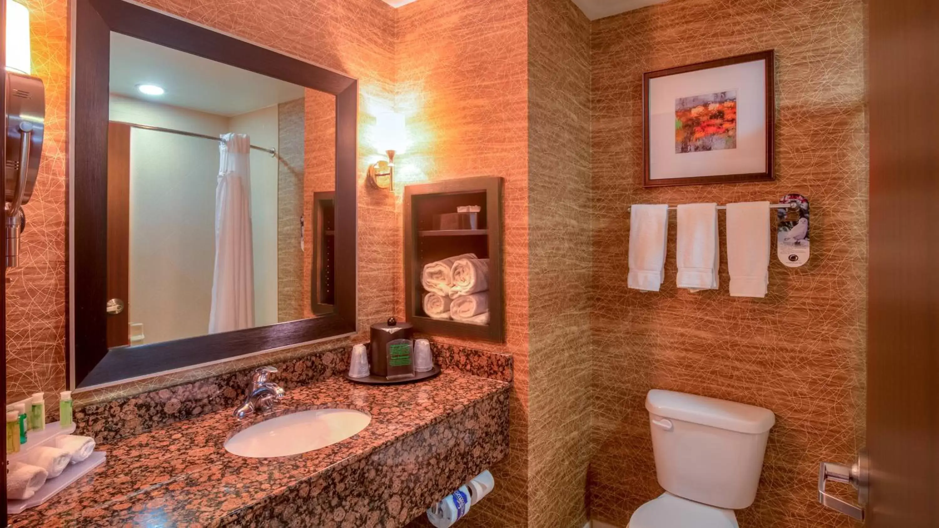 Photo of the whole room, Bathroom in Holiday Inn Express Hotel and Suites Elk City, an IHG Hotel