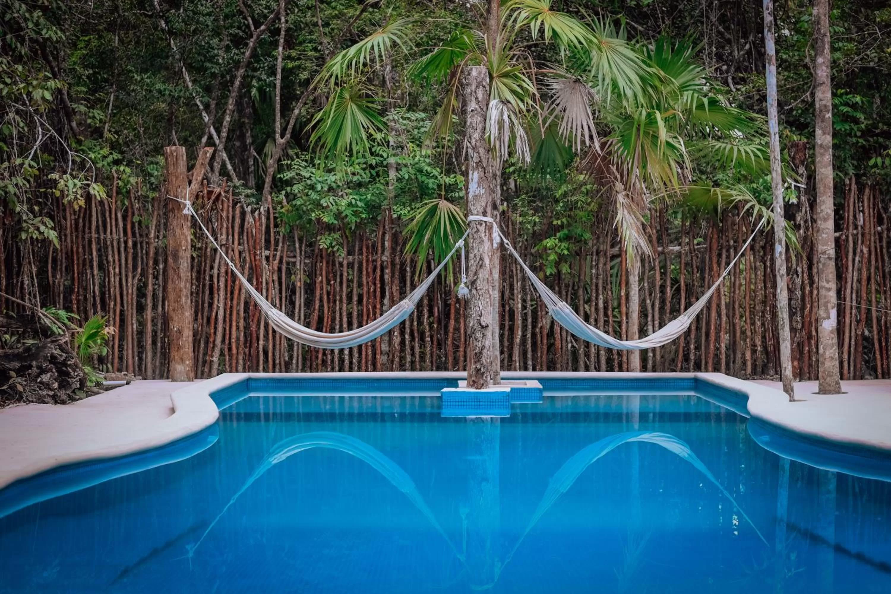 Pool view, Swimming Pool in Lunita Jungle Experience