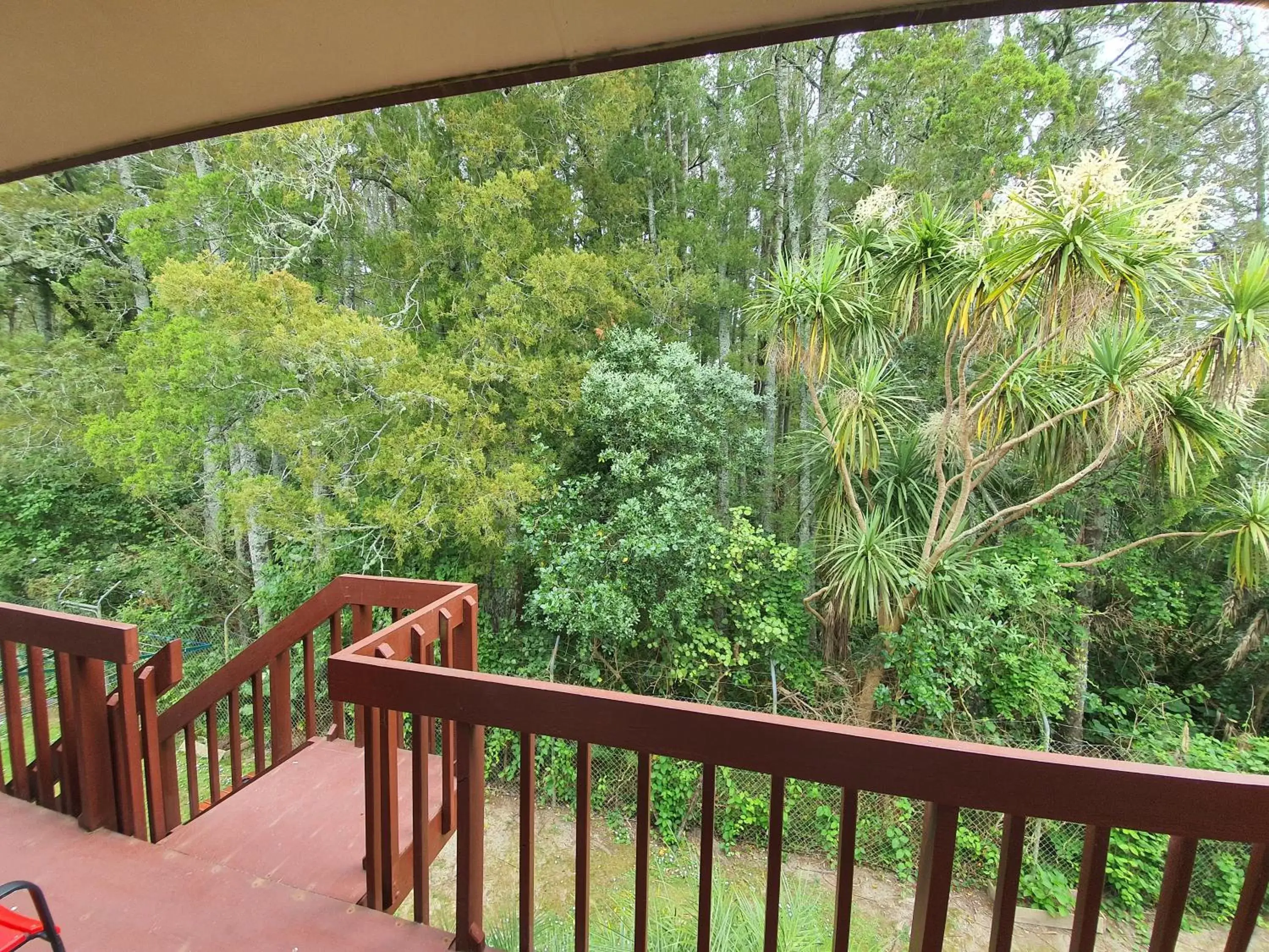 Garden view in Ocean Inn Motel Garden view in Ocean Inn Motel