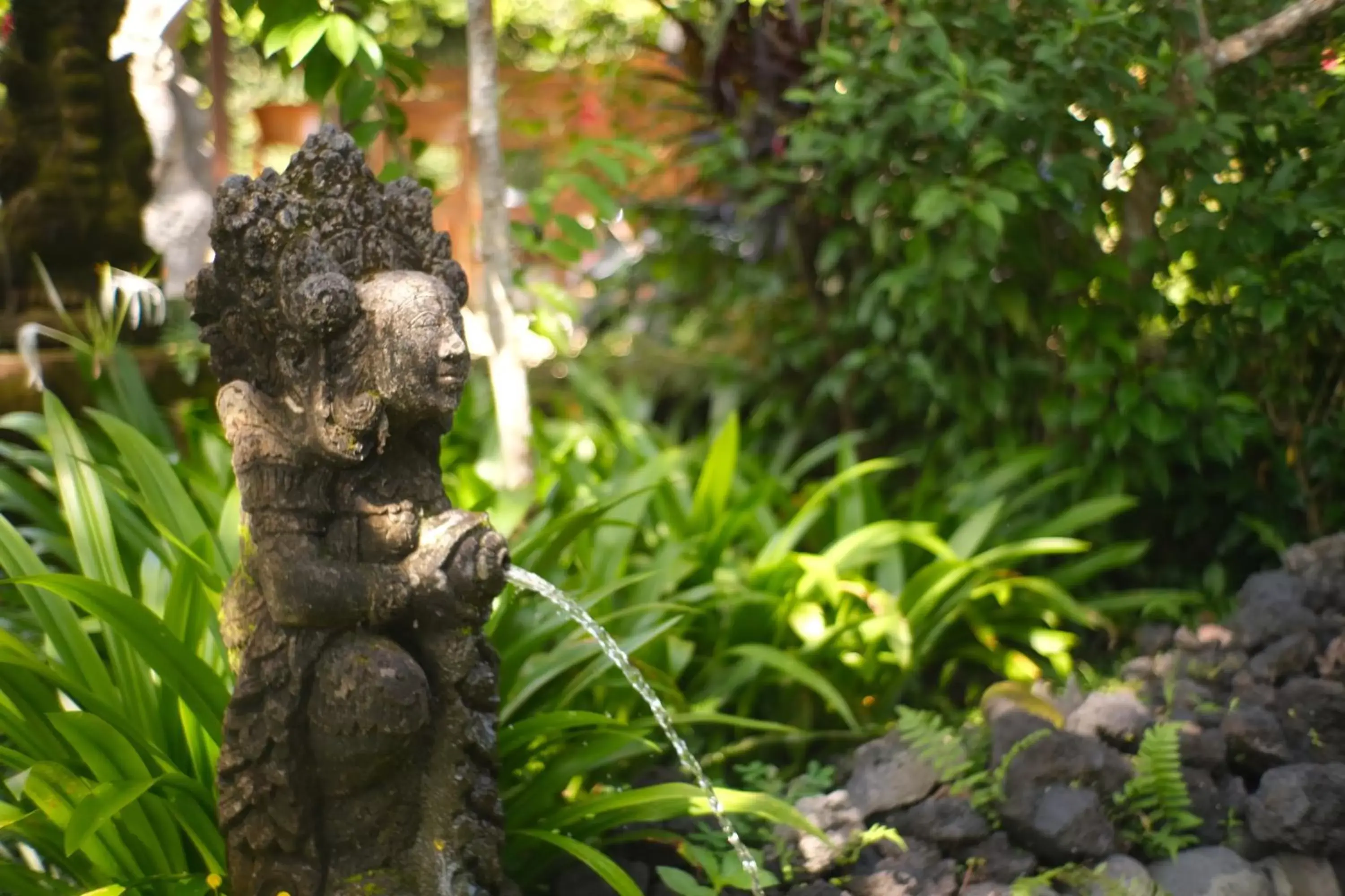 Natural landscape, Garden in Artini Bisma Ubud Hotel