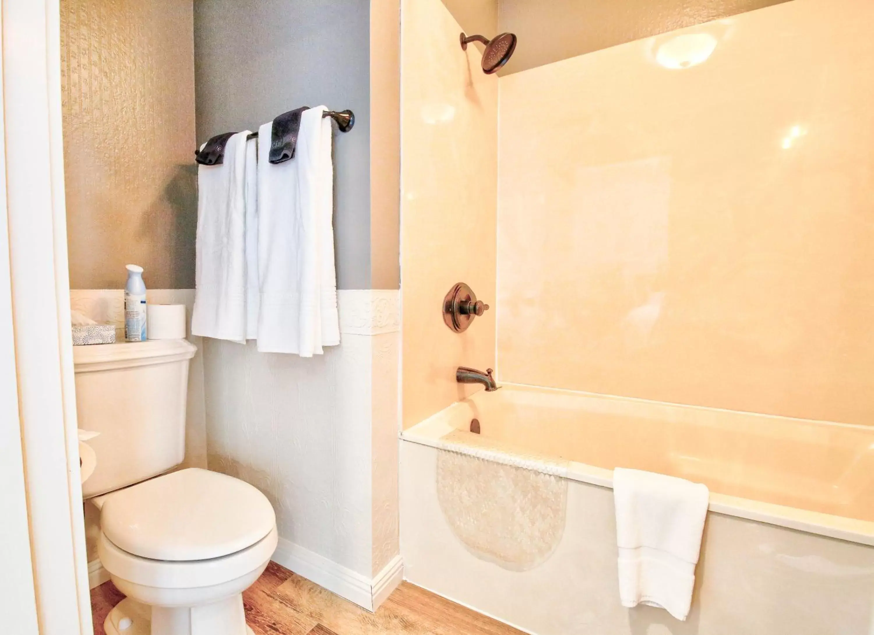 Toilet, Bathroom in The Groveland Hotel