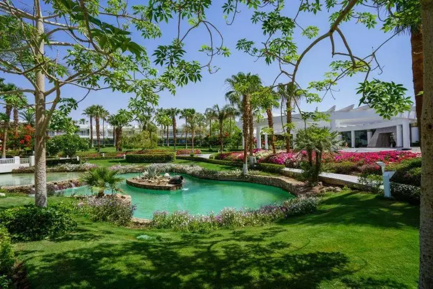 Natural landscape, Swimming Pool in Monte Carlo Sharm Resort & Spa