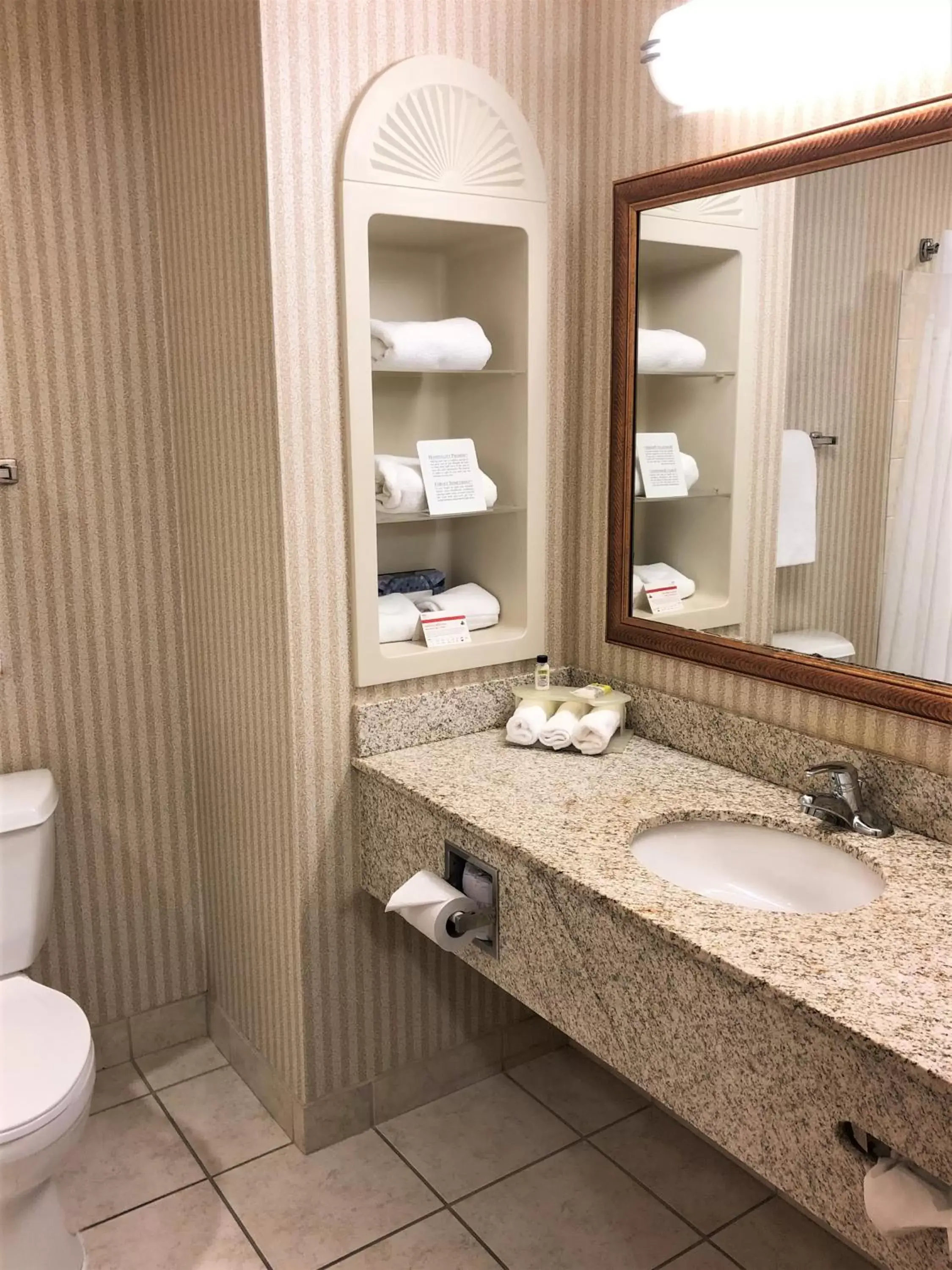 Bathroom in Holiday Inn Express Syracuse Airport, an IHG Hotel