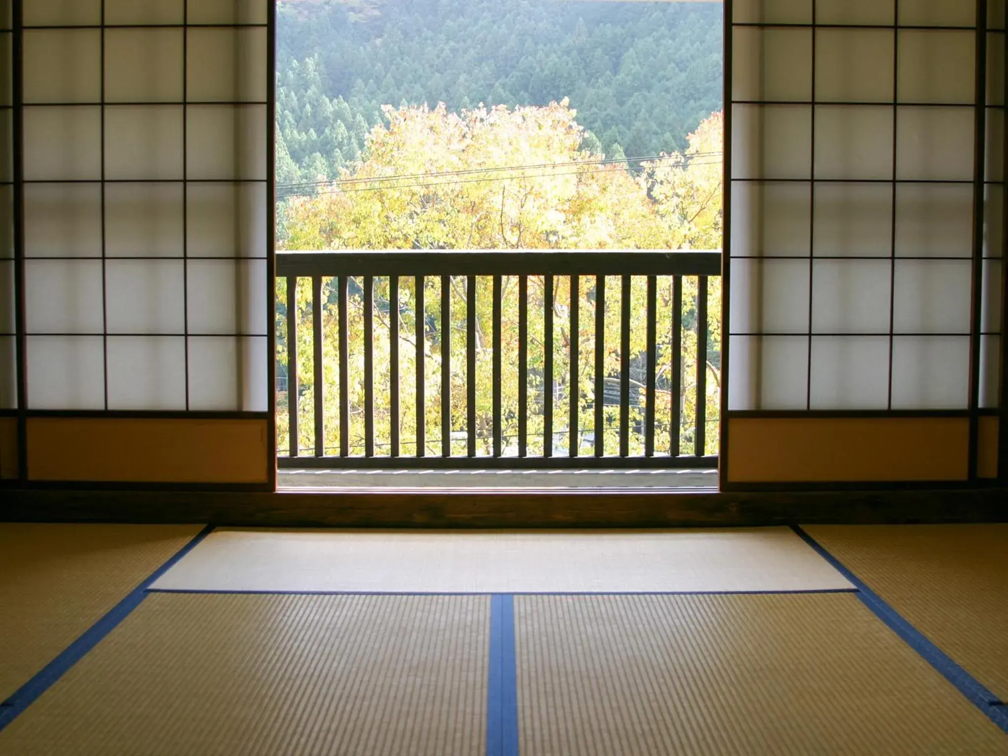 Mountain view, View in Suikoen Ryokan