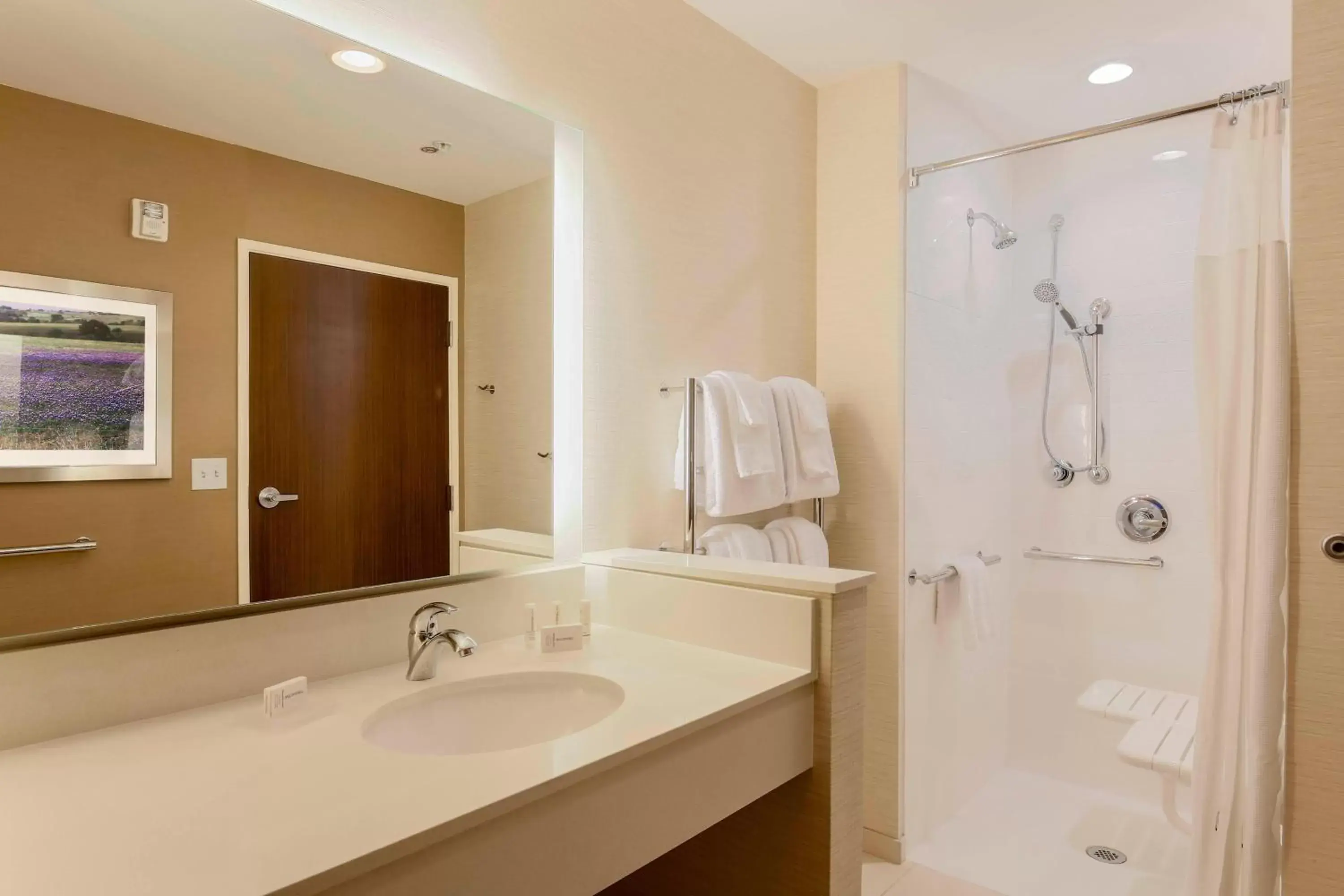 Bathroom in Fairfield Inn & Suites by Marriott Decatur at Decatur Conference Center