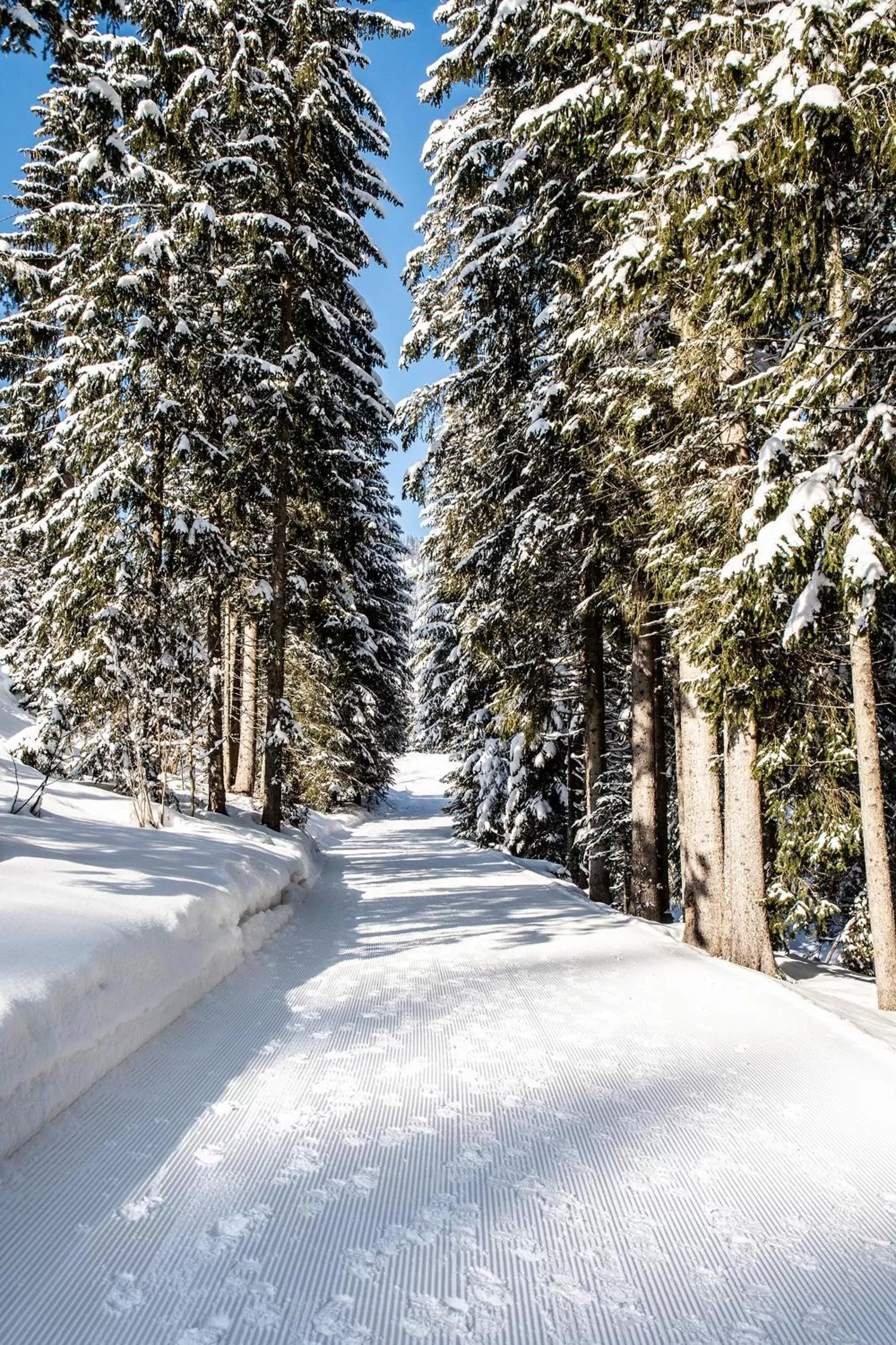 Natural landscape in Alpengasthof Hörnlepass