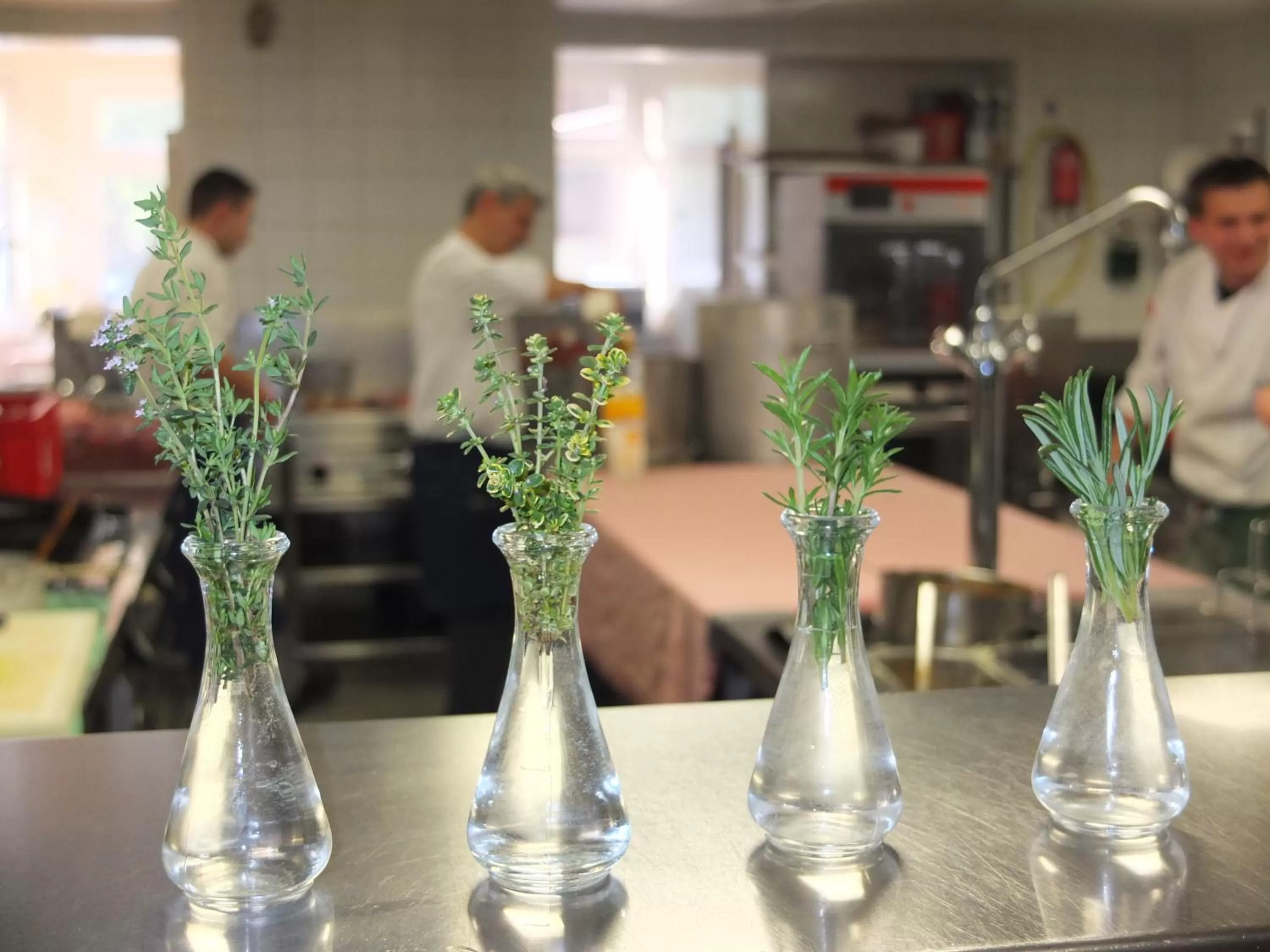 Restaurant/places to eat in Gasthof Herrnhaus