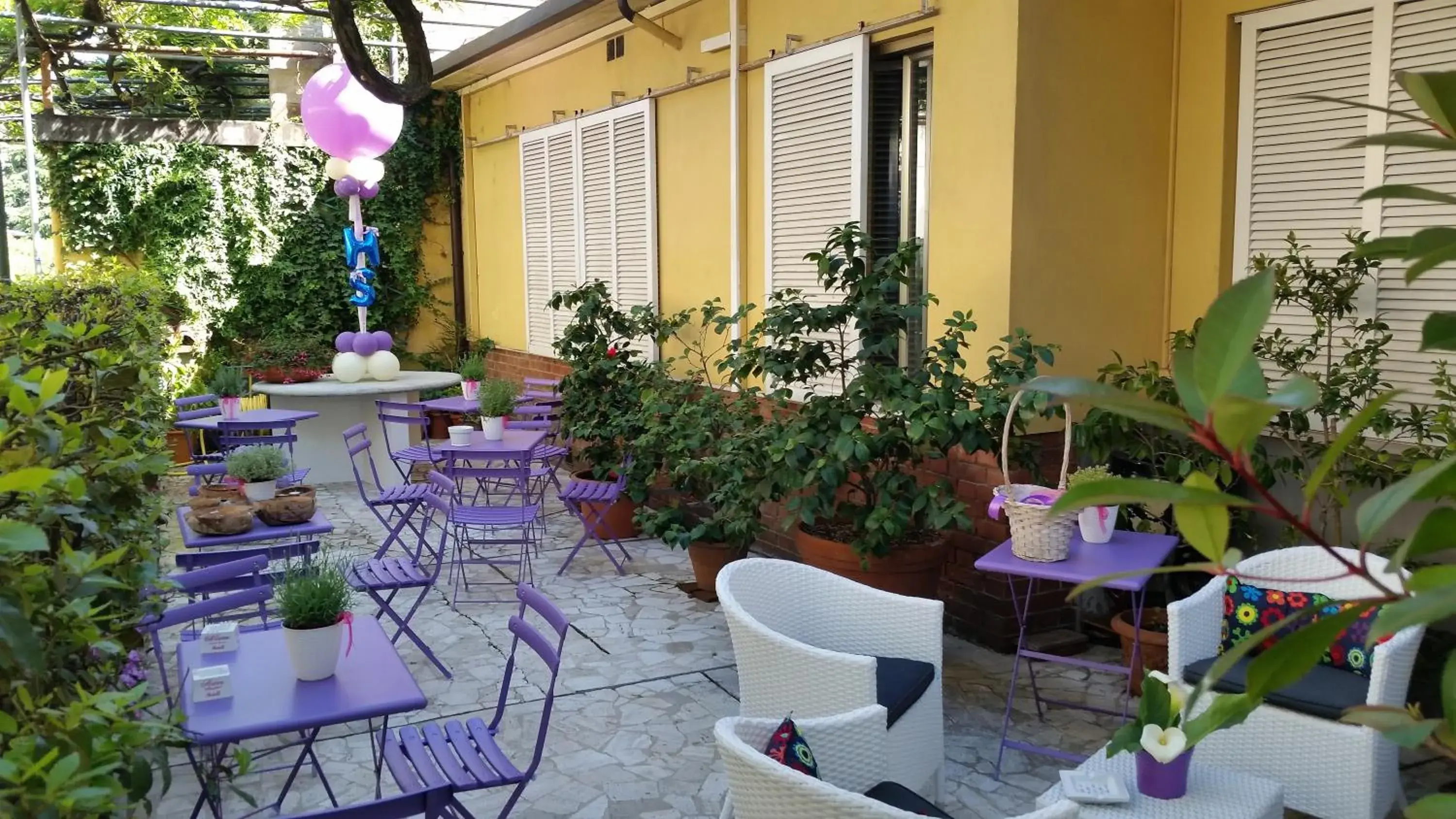 Garden in Hotel Stipino