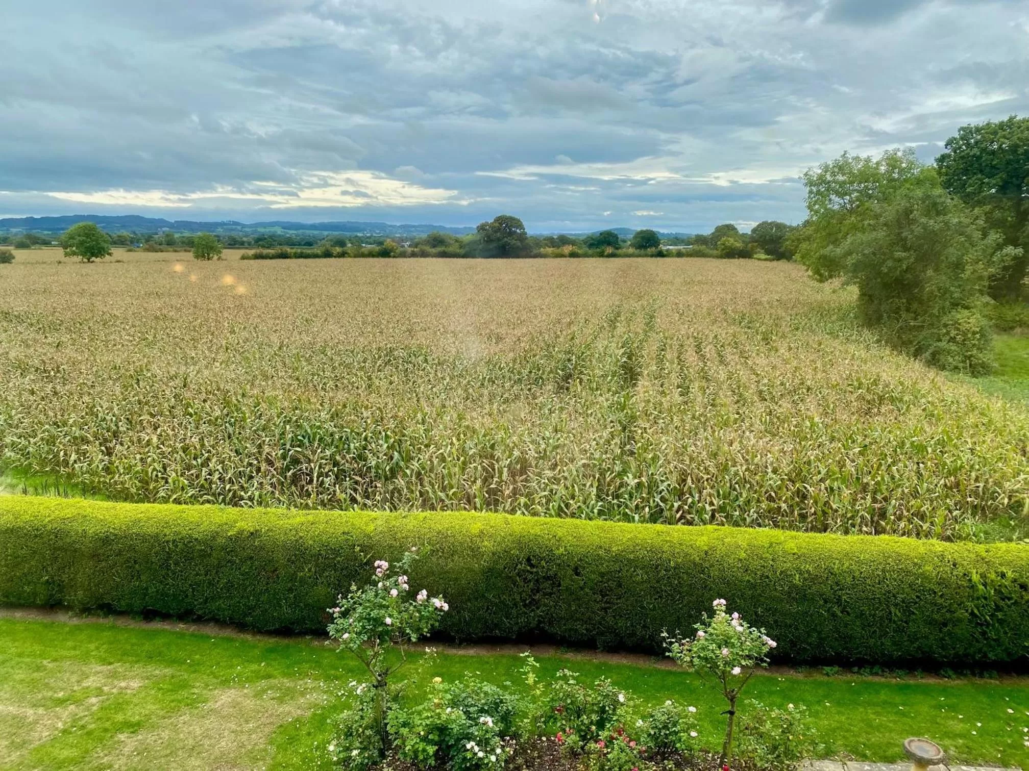Garden view in Golborne Manor Bed and Breakfast