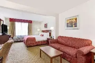 Standard Room in Holiday Inn - Tampa North, an IHG Hotel