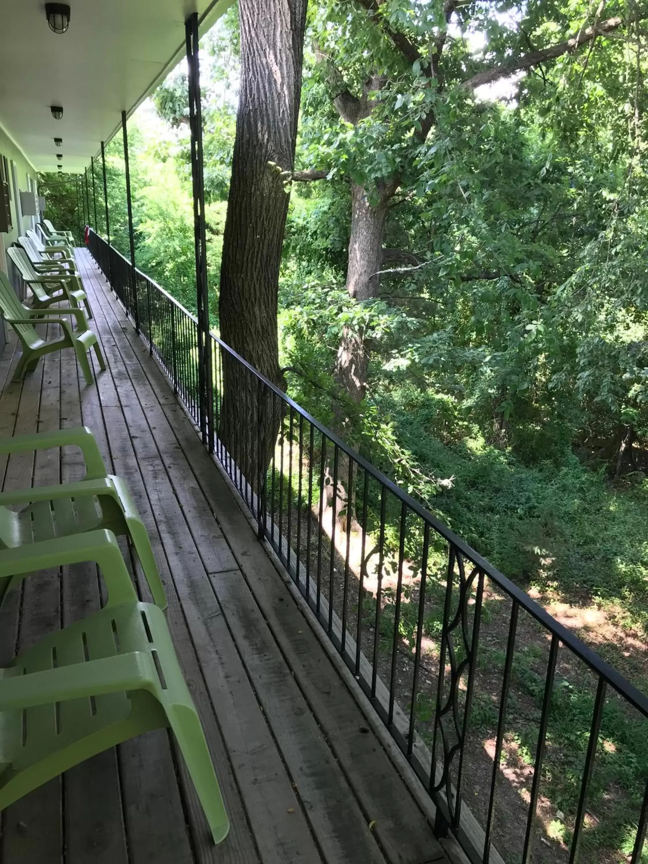 View (from property/room), Balcony/Terrace in The Wanderoo Lodge