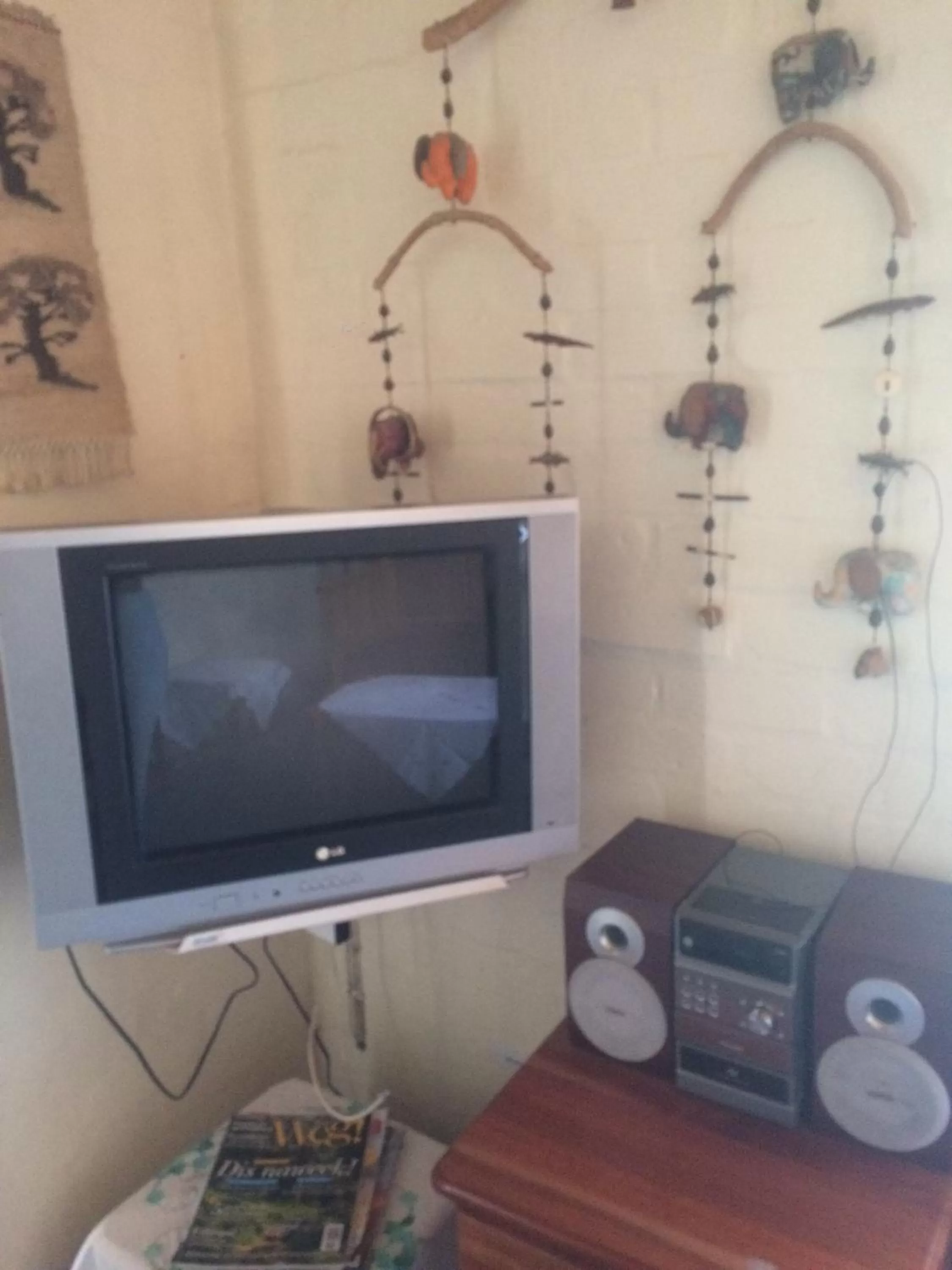 TV and multimedia in Haus Barbara Guest House