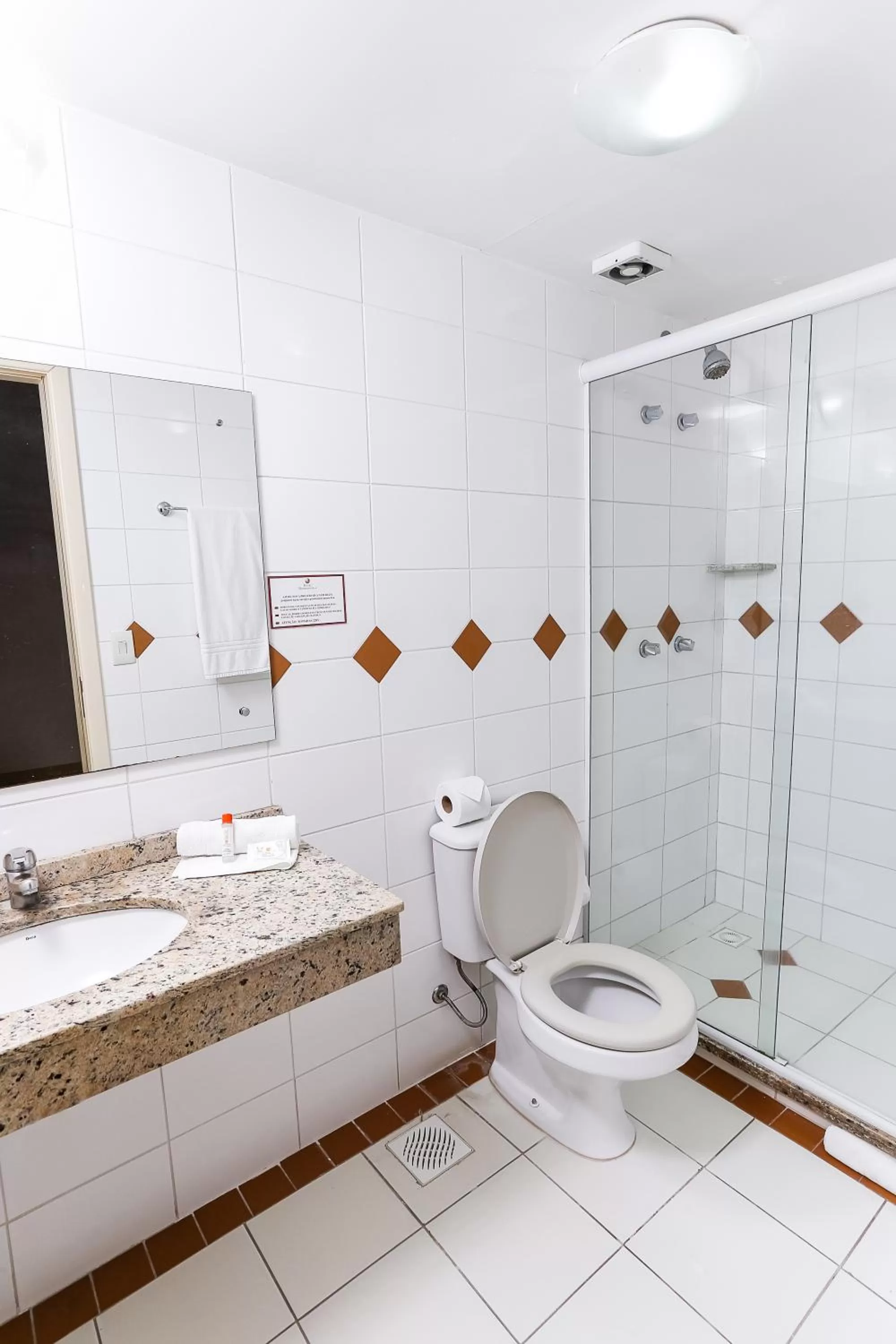 Shower in Hotel Metropolitan Canoas