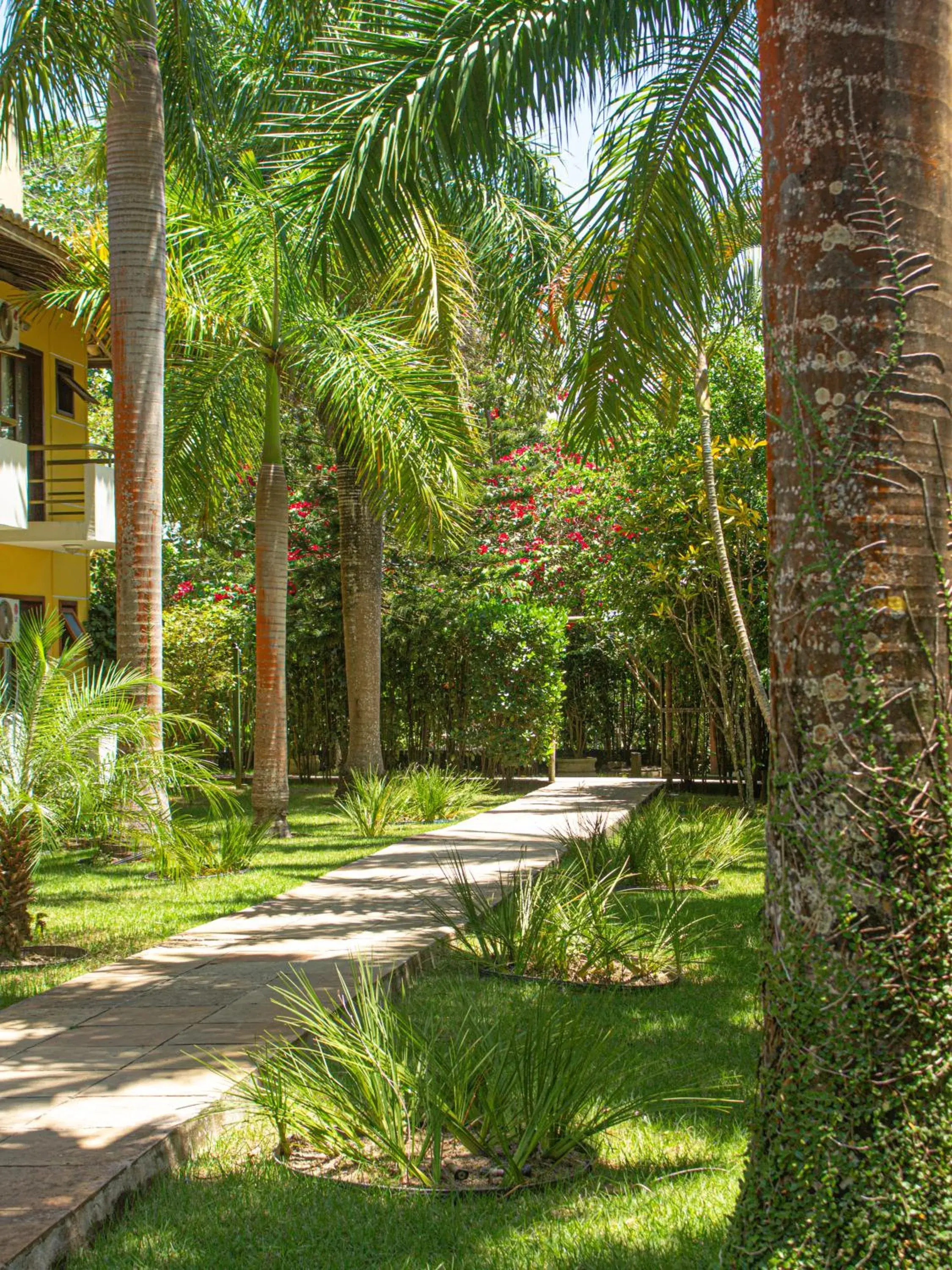 Garden in Sunshine Praia Hotel