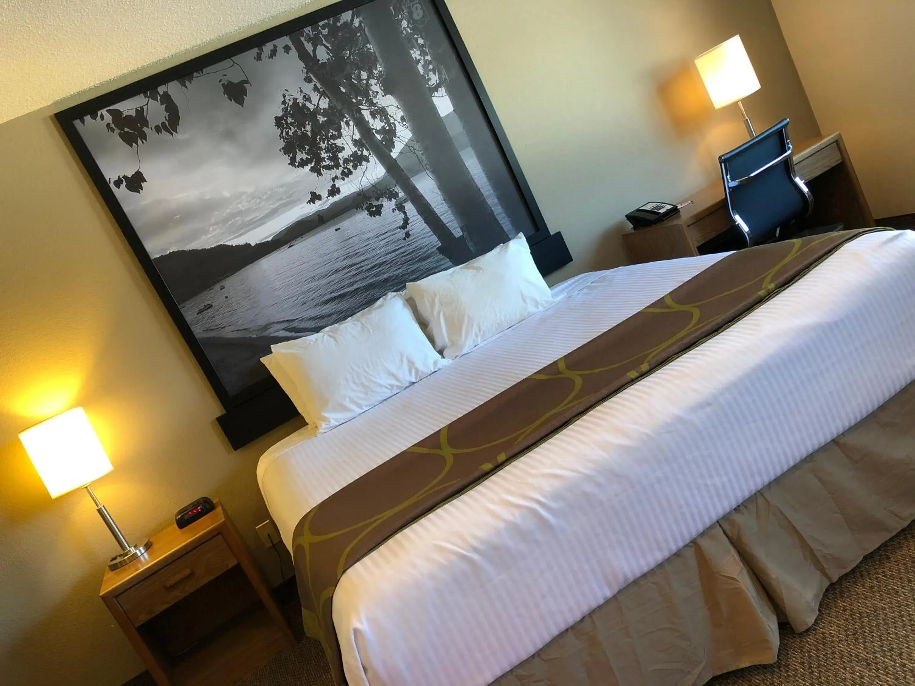 Bed in Super 8 by Wyndham Salmon Arm