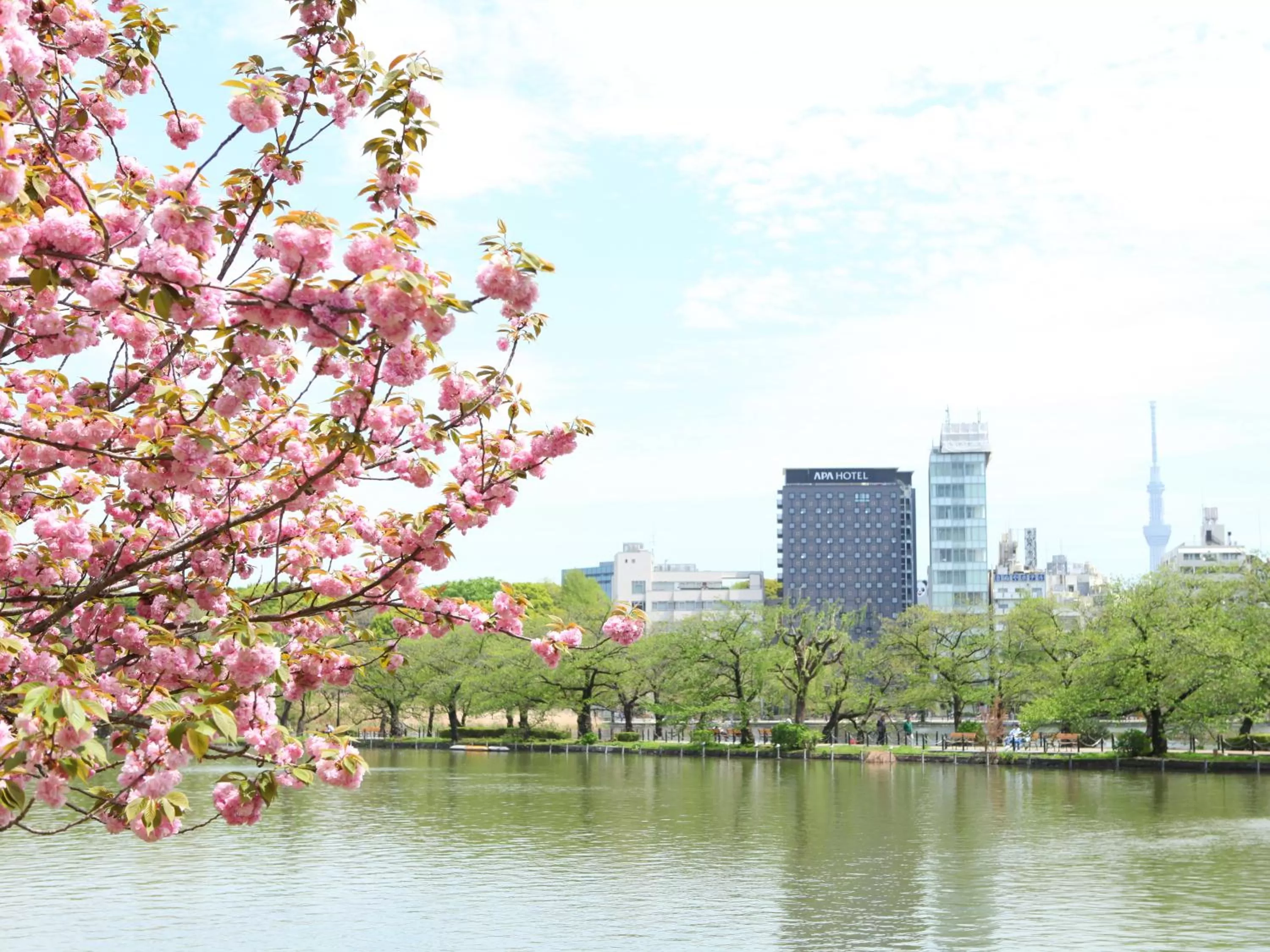 Property building in APA Hotel Keisei Ueno Ekimae