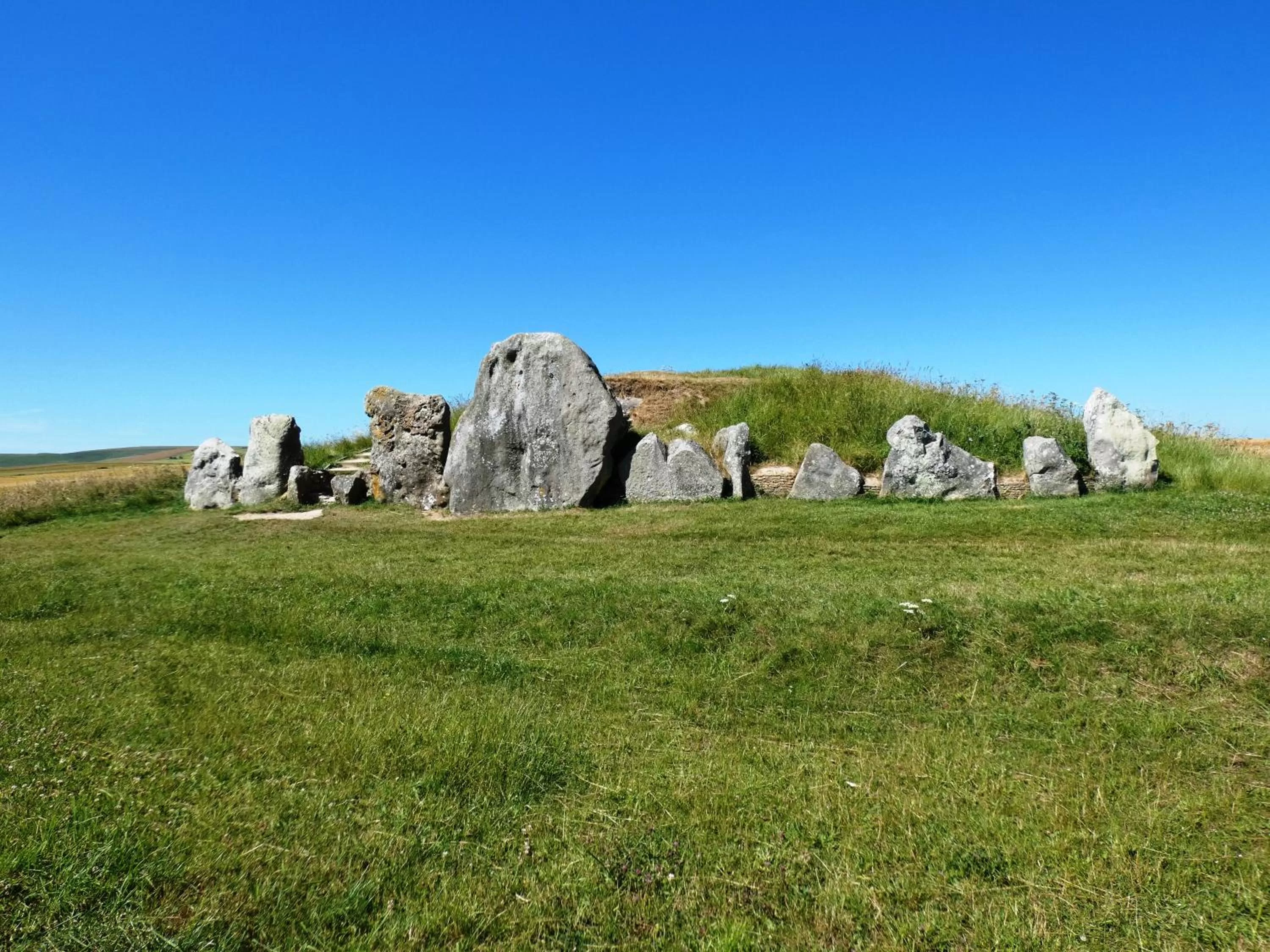 Natural Landscape in B&B Dorwyn Manor