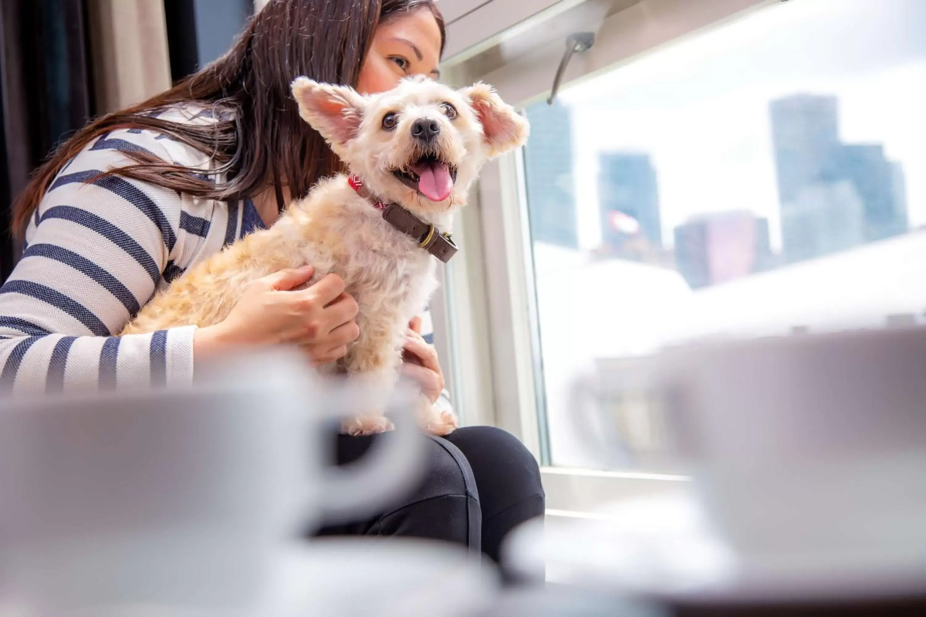 Bedroom, Pets in The Yorkville Royal Sonesta Hotel Toronto