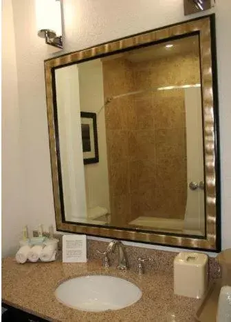 Bathroom in Holiday Inn Express & Suites Arkadelphia - Caddo Valley, an IHG Hotel