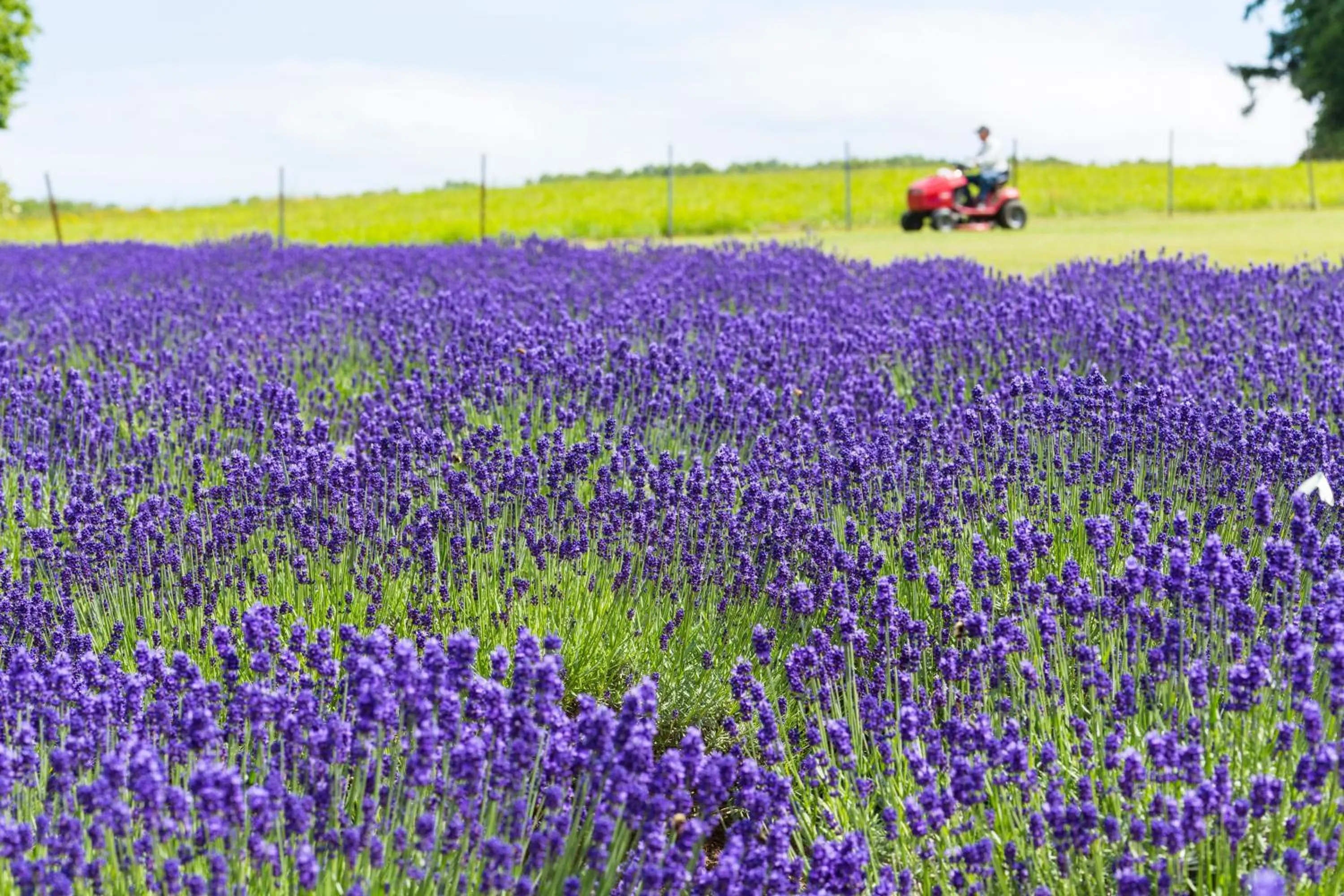 Nearby landmark in Brick House Furano