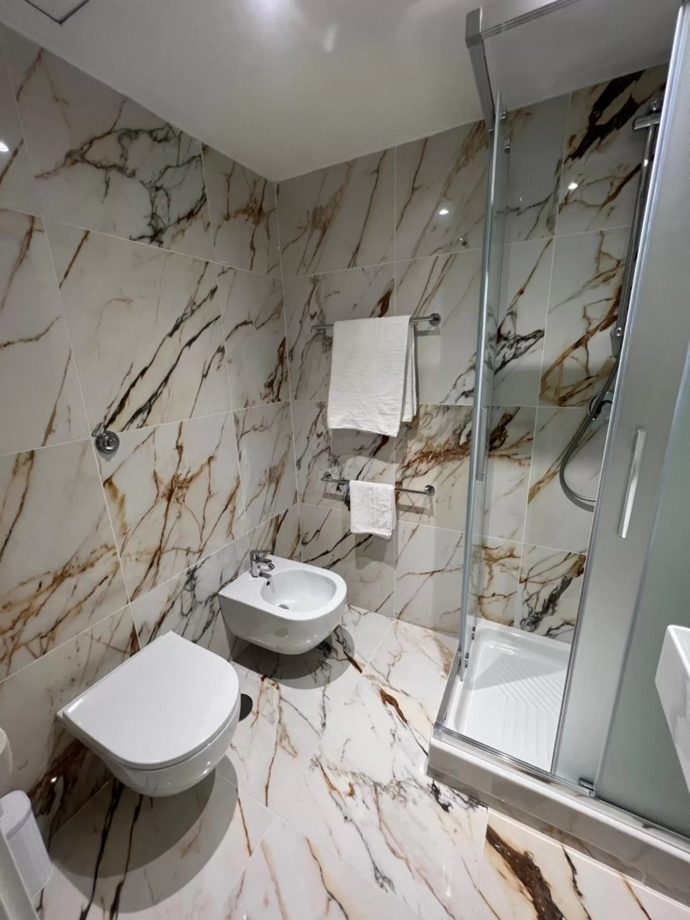Shower, Bathroom in Hotel Garda