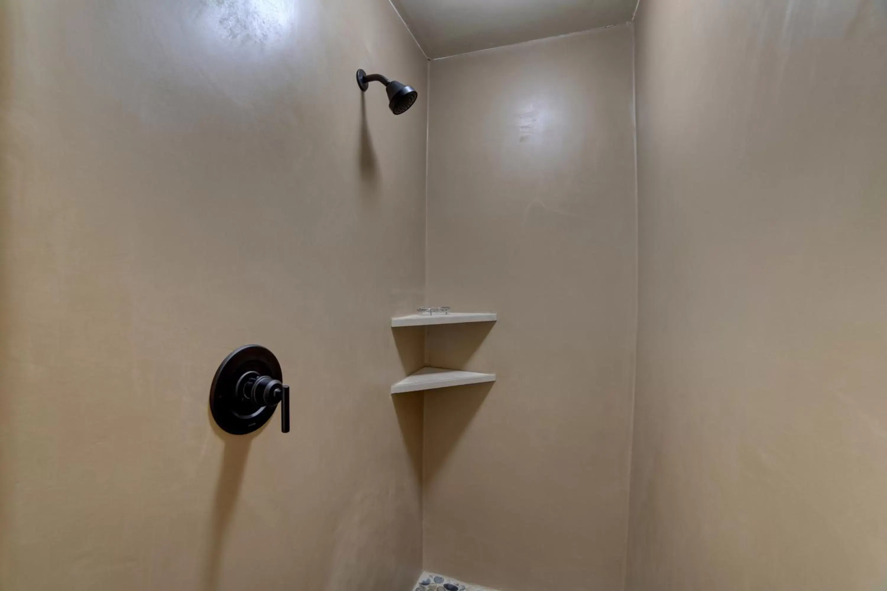 Shower, Bathroom in The Gonzo Inn