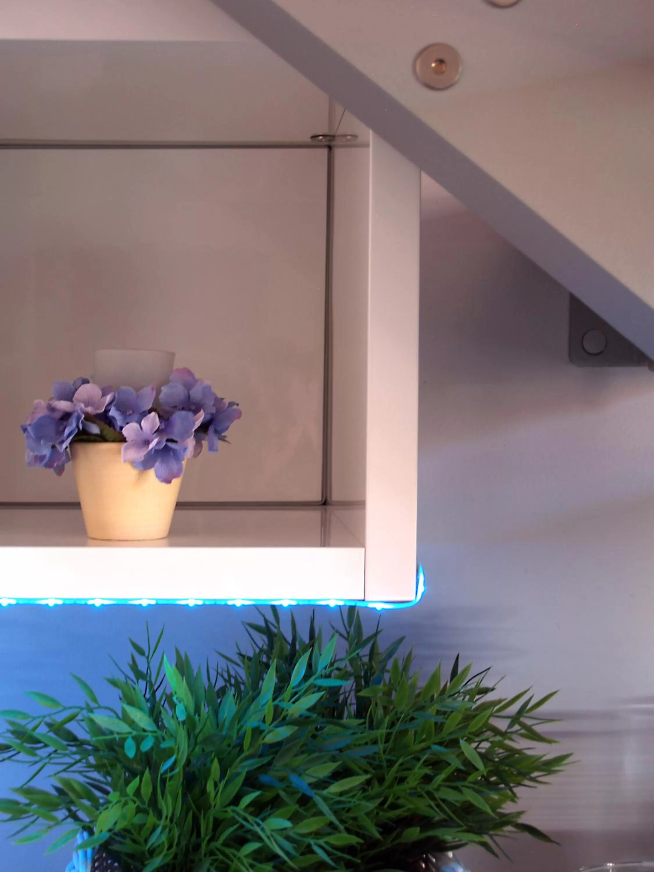 Cameracaffè sul Lago