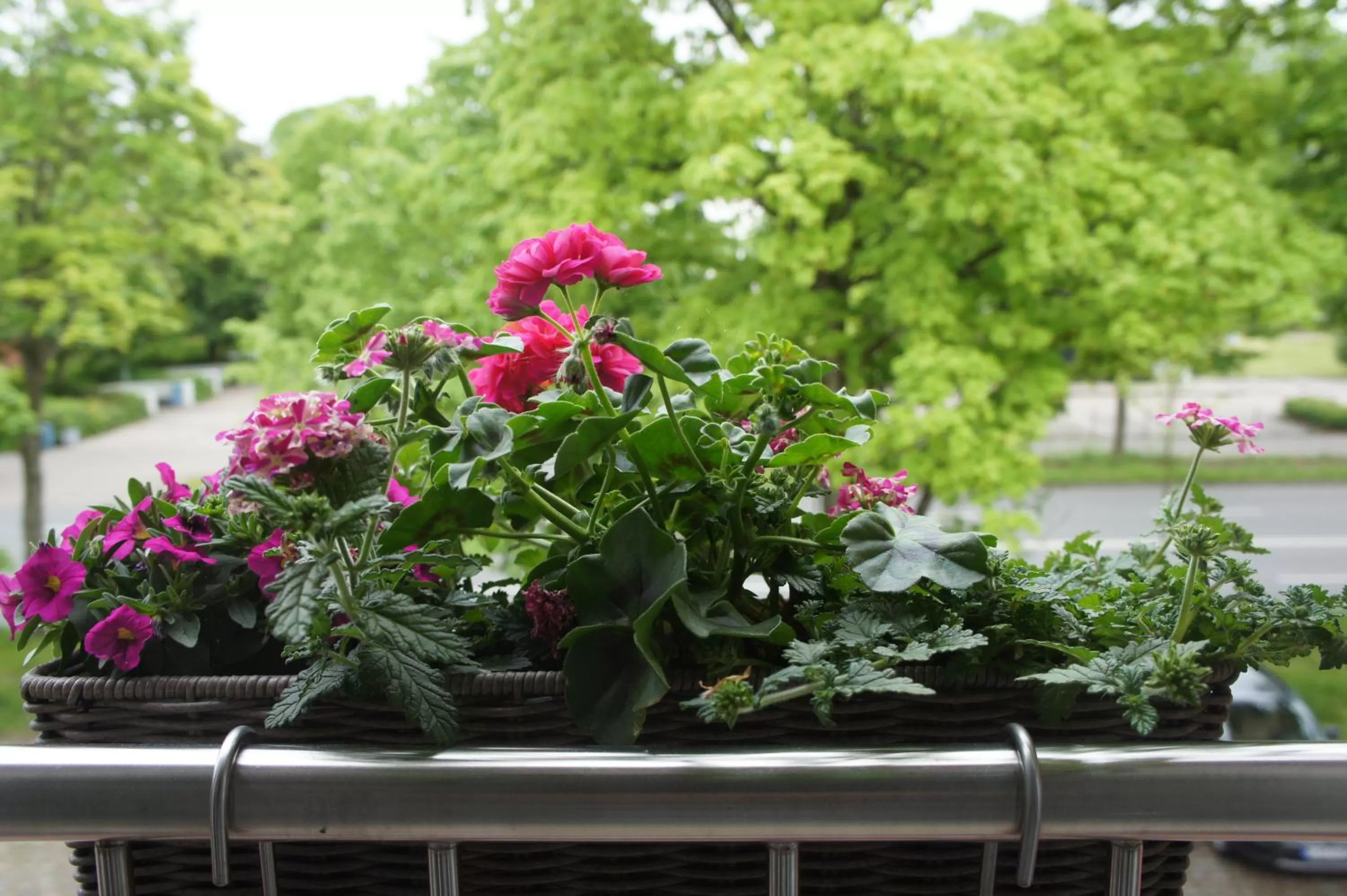 Street view in Designhotel 1690 & Apartments