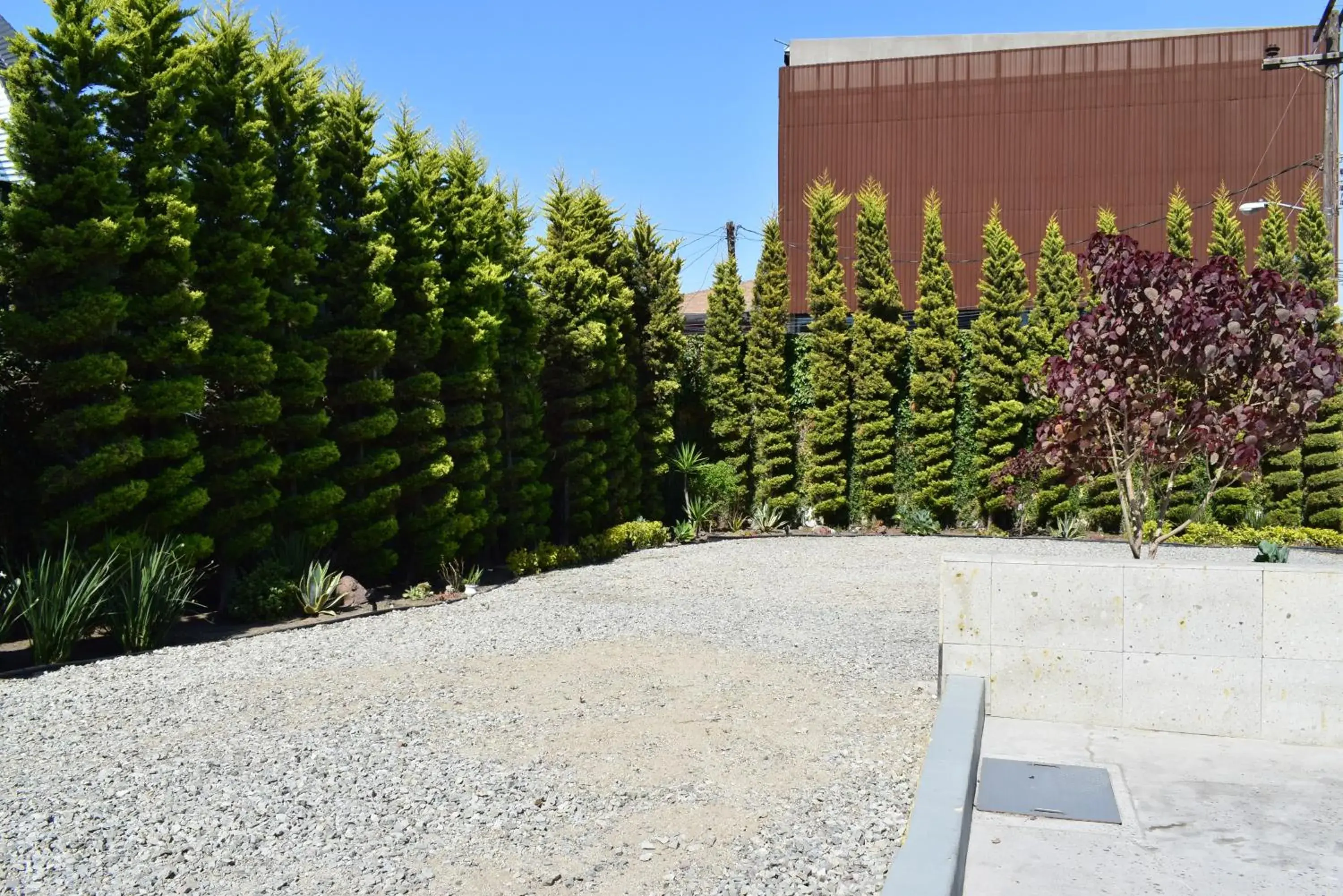 Patio in Hotel Pacific