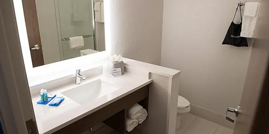 Bathroom in Holiday Inn Express & Suites Dayton North - Vandalia, an IHG Hotel